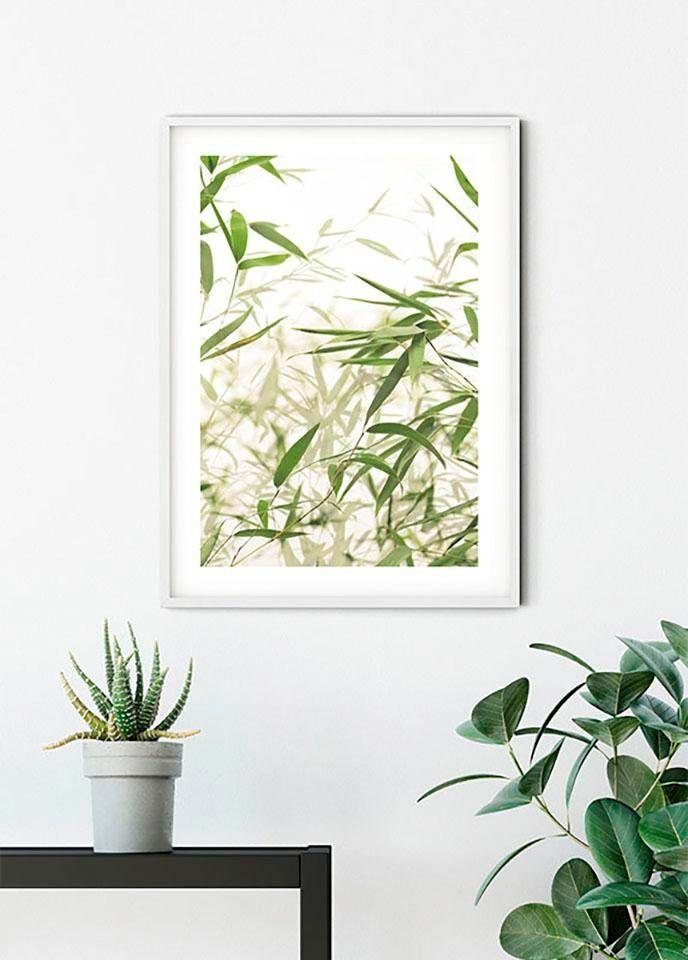 Komar Bild Bamboo Leaves, Blätter, Pflanzen (1 St), Wandbild zur Dekoration - ohne Rahmen