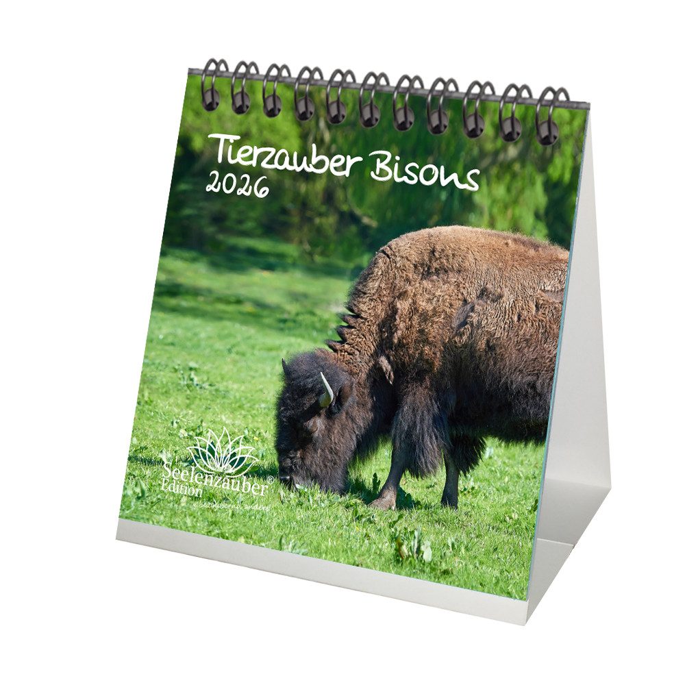 Seelenzauber Tischkalender Tierzauber Bisons Tischkalender 10cm x 10cm für 2026 Amerika