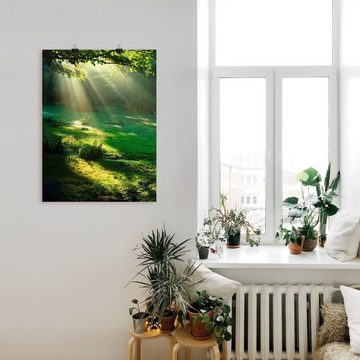 Artland Wandbild Lichtkegel, Wald (1 St), als Alubild, Outdoorbild, Leinwandbild, Poster, Wandaufkleber