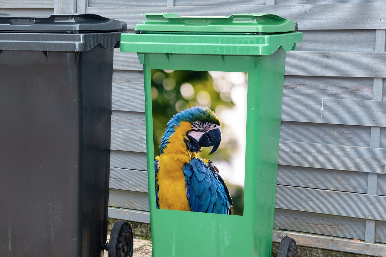 (1 Container, Wandsticker Abfalbehälter Ara Vogel St), Sticker, - - Papagei Mülleimer-aufkleber, Mülltonne, MuchoWow