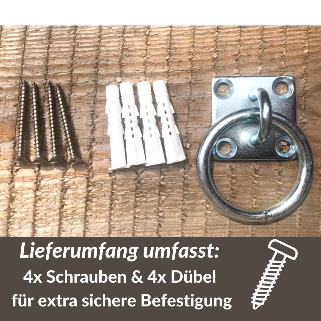 Pferdelinis Anbindestrick Anbindering Pferd Bestigungshaken Augplatte Edelstahl massiv