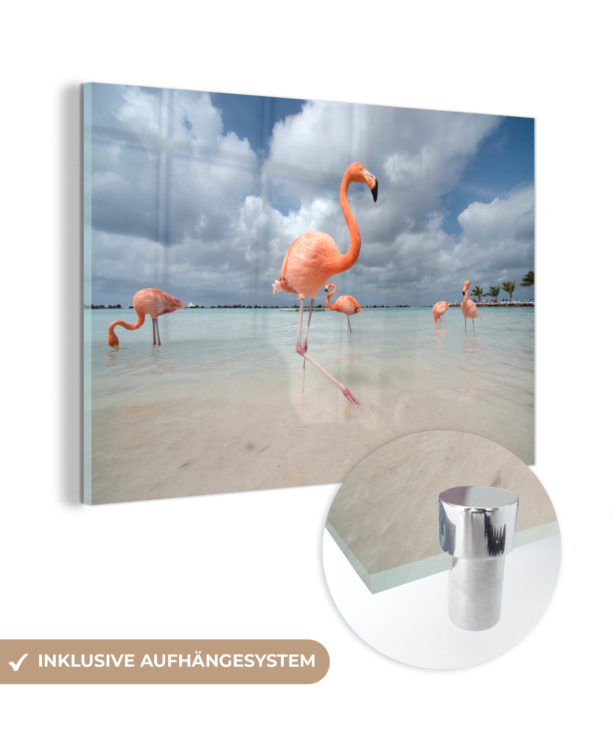 MuchoWow Acrylglasbild Flamingos auf einer Insel in Aruba, (1 St), Acrylglasbilder Wohnzimmer & Schlafzimmer