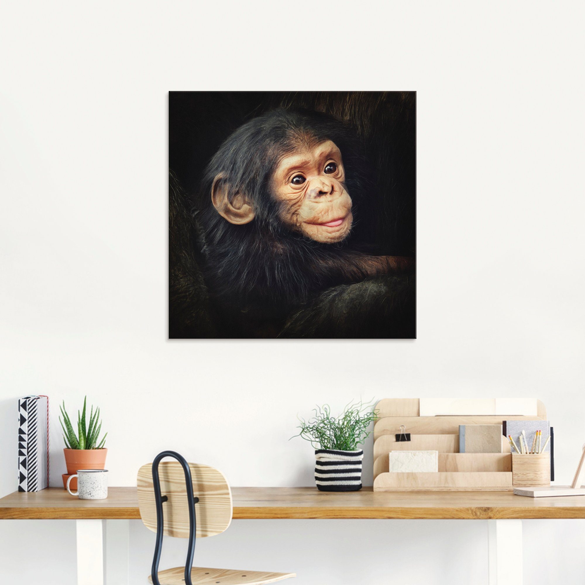 Artland Glasbild Kleiner Schimpanse, Wildtiere verschiedenen Größen (1 St), in