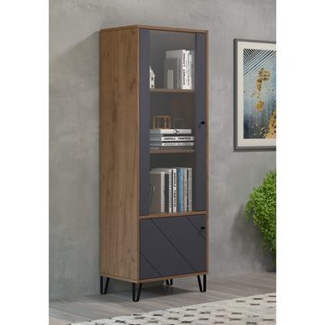 trendteam Vitrine Touch Vitrinenschrank Highboard Schrank Standvitrine Braun/Grau 63x172x40cm