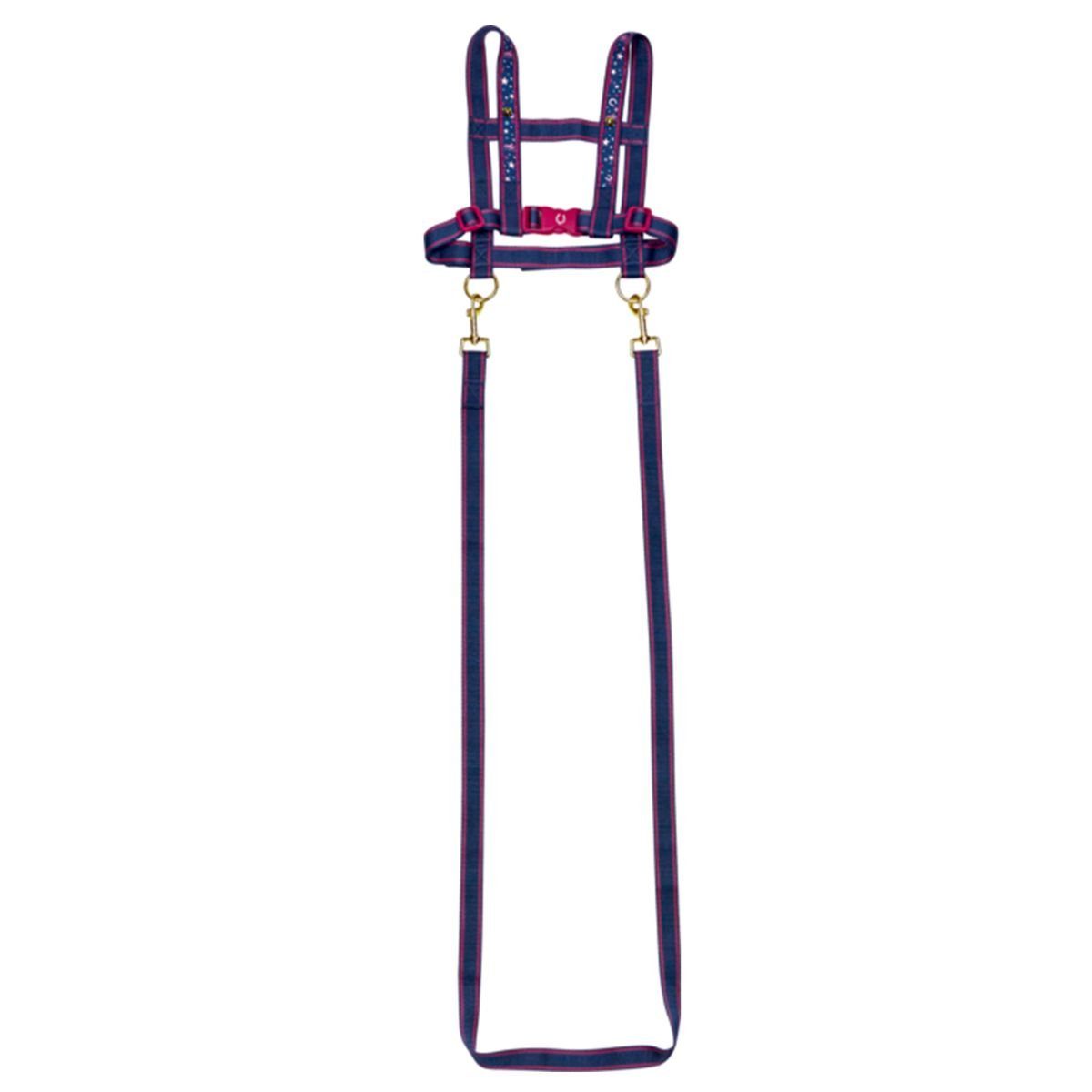 COPPENRATH DIE SPIEGELBURG Spielwerkzeug Coppenrath 13813 günstig online kaufen