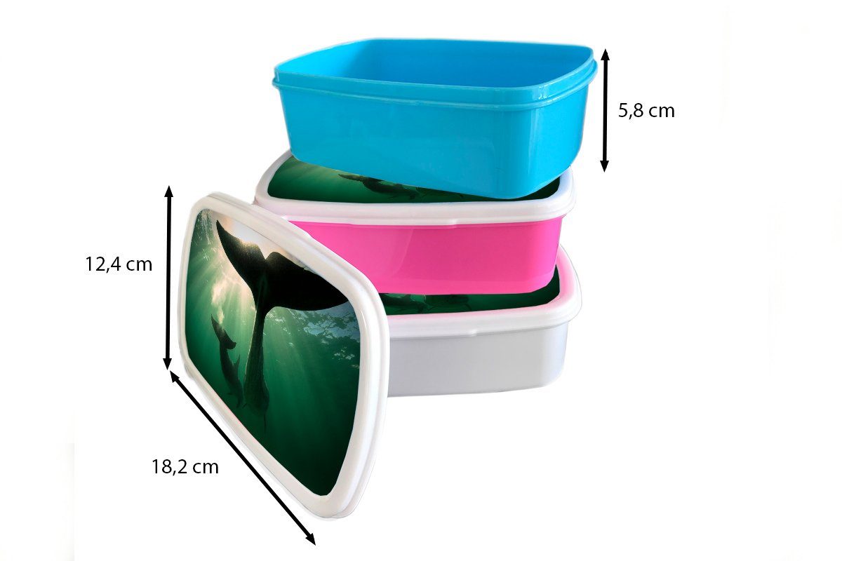 Kunststoff, (2-tlg), Wasser weiß Brotdose, Brotbox - Delfin und MuchoWow Erwachsene, und Jungs Mädchen Blau, für Lunchbox Kinder für -