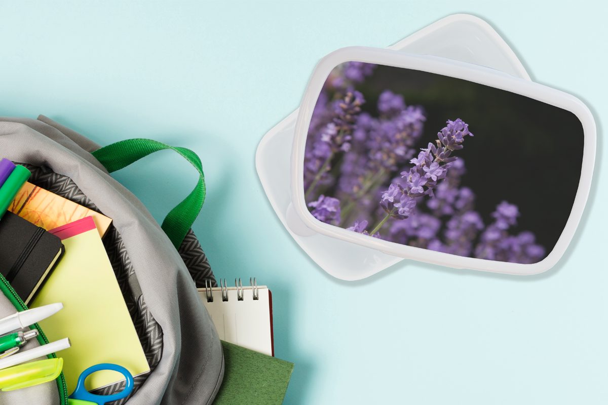 schwarzem Jungs für Nahaufnahme Kinder lila (2-tlg), Brotbox auf für und Mädchen Kunststoff, Erwachsene, und Lavendel Lunchbox MuchoWow Hintergrund, Brotdose, von weiß