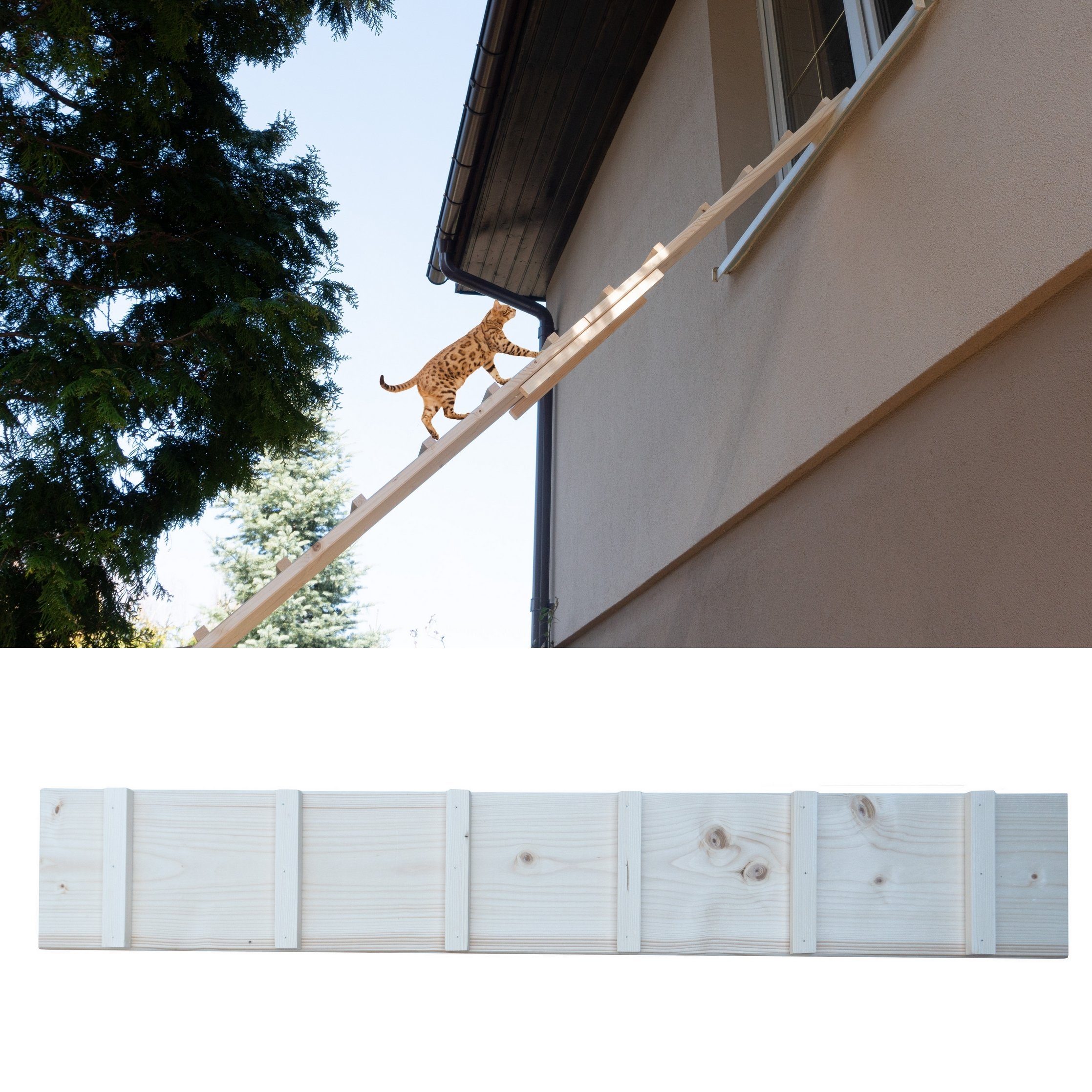 QLS Haustiertreppe Katzenleiter (VARIANTEN zur Auswahl), Katzentreppe Katze günstig online kaufen