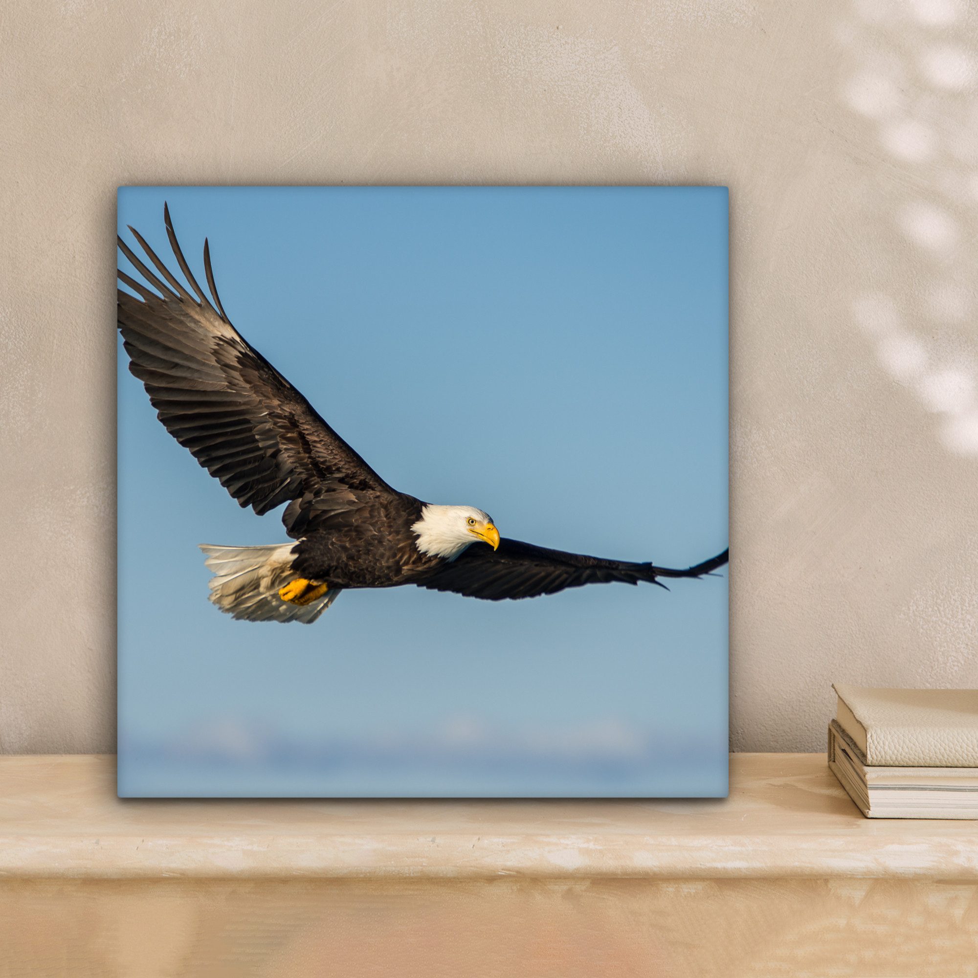 OneMillionCanvasses® Leinwandbild Vogel - Adler - Raubvögel, Fotodruck (1 St), Leinwand Bilder Klein, Wand Dekoration Aesthetic 30x20 cm – Bild 2 von 5
