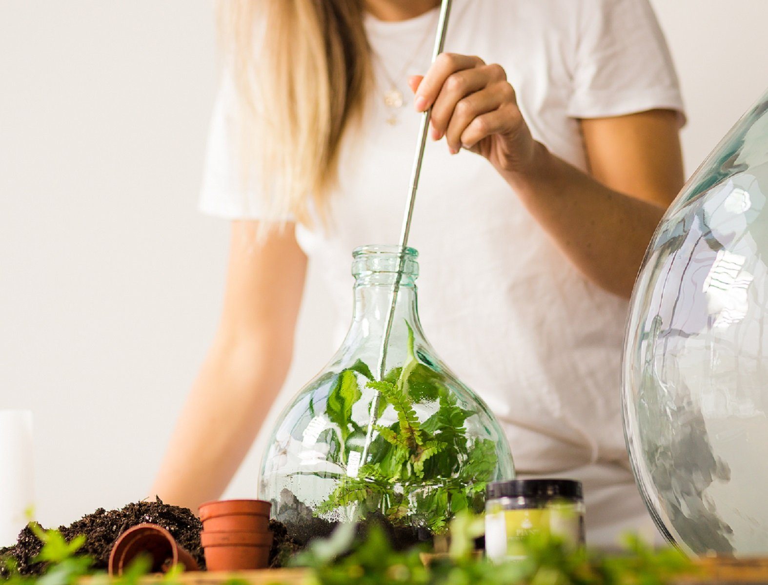 5L Starter Esschert Gewächshaus Blumen DIY Übertopf Glas Flasche design esschert Pflanzen Terrarium Set