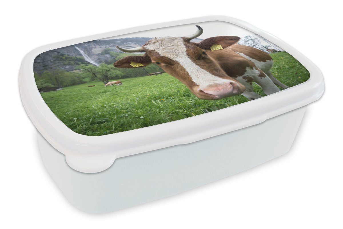 für MuchoWow Natur Erwachsene, Brotbox - (2-tlg), Österreich, und Kinder Jungs weiß Brotdose, für und Lunchbox Mädchen - Kunststoff, Kuh