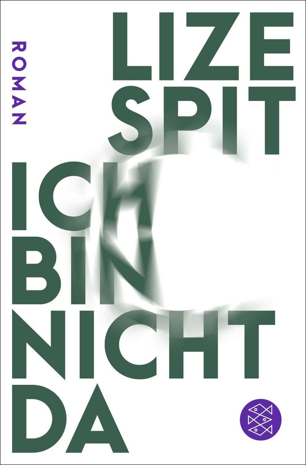 Belletristik Ich bin nicht da Roman Lize Spit