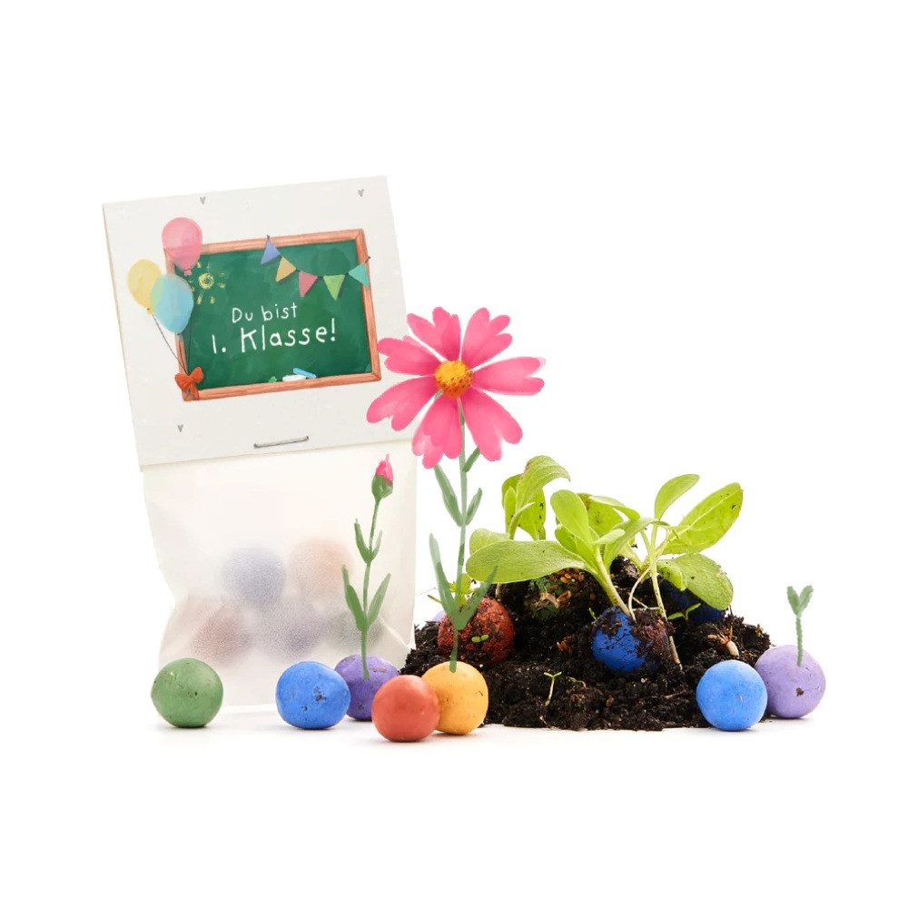 Die Stadtgärtner Spielzeug-Gartenset Die Stadtgärtner 5er Blumenmurmeln Einschulung Du bist 1. Klasse