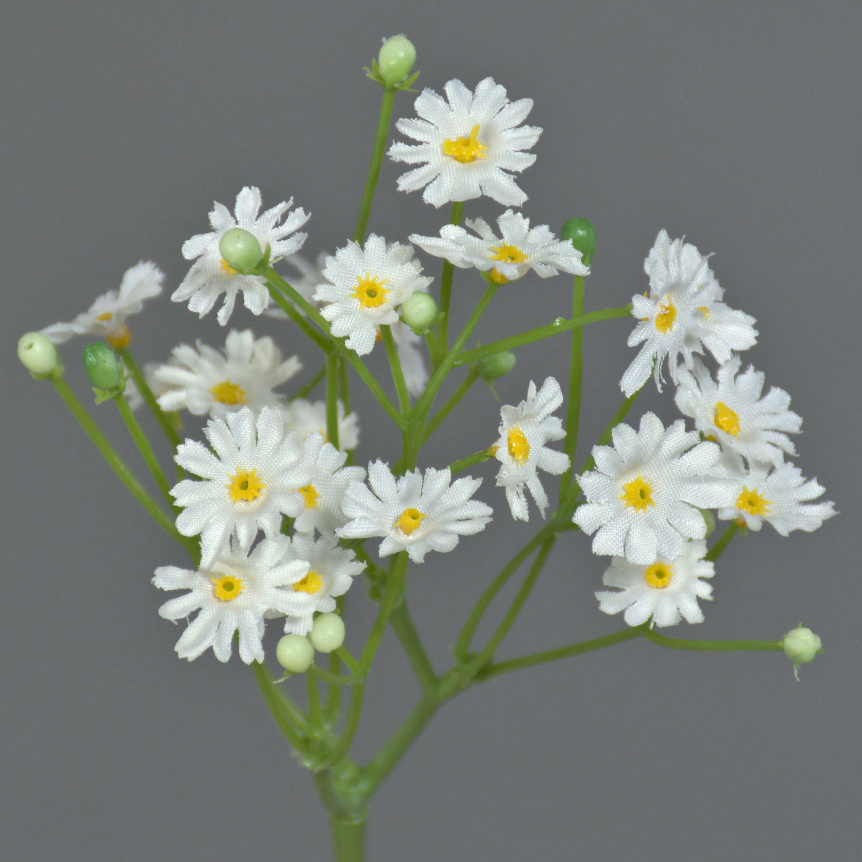 Kunstzweig Künstliches Gänseblümchen Belina, 24 Blüten, weiß, 30cm, Ø 9cm Gänseblümchen, artplants, Höhe 30.0 cm
