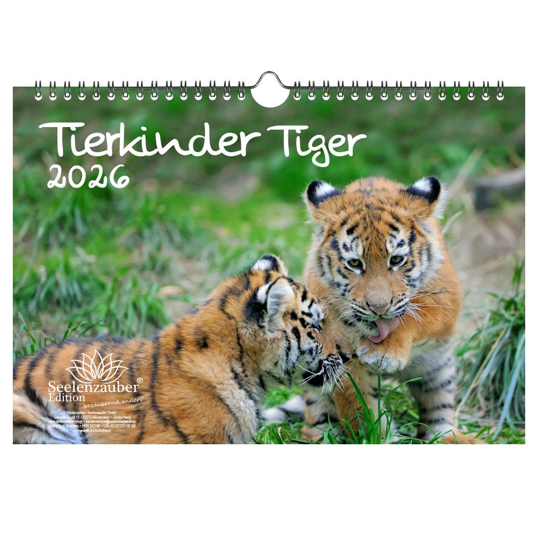Seelenzauber Настенный календарь Tierkinder Tiger DIN A4 Календари für 2026 Tiger - Seelenzauber