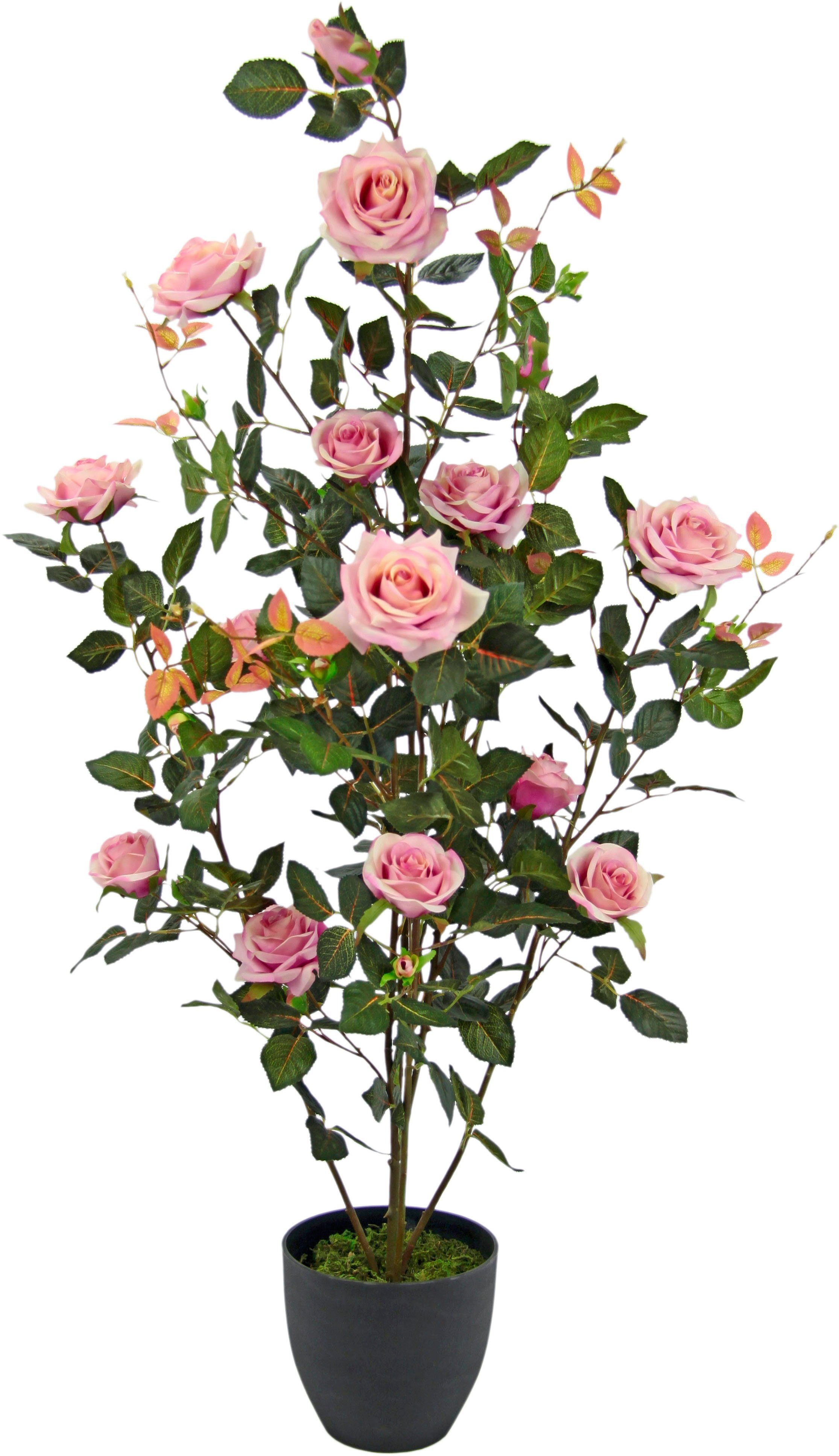 Kunstbaum Rosenbusch im Topf, I.GE.A., Höhe günstig online kaufen