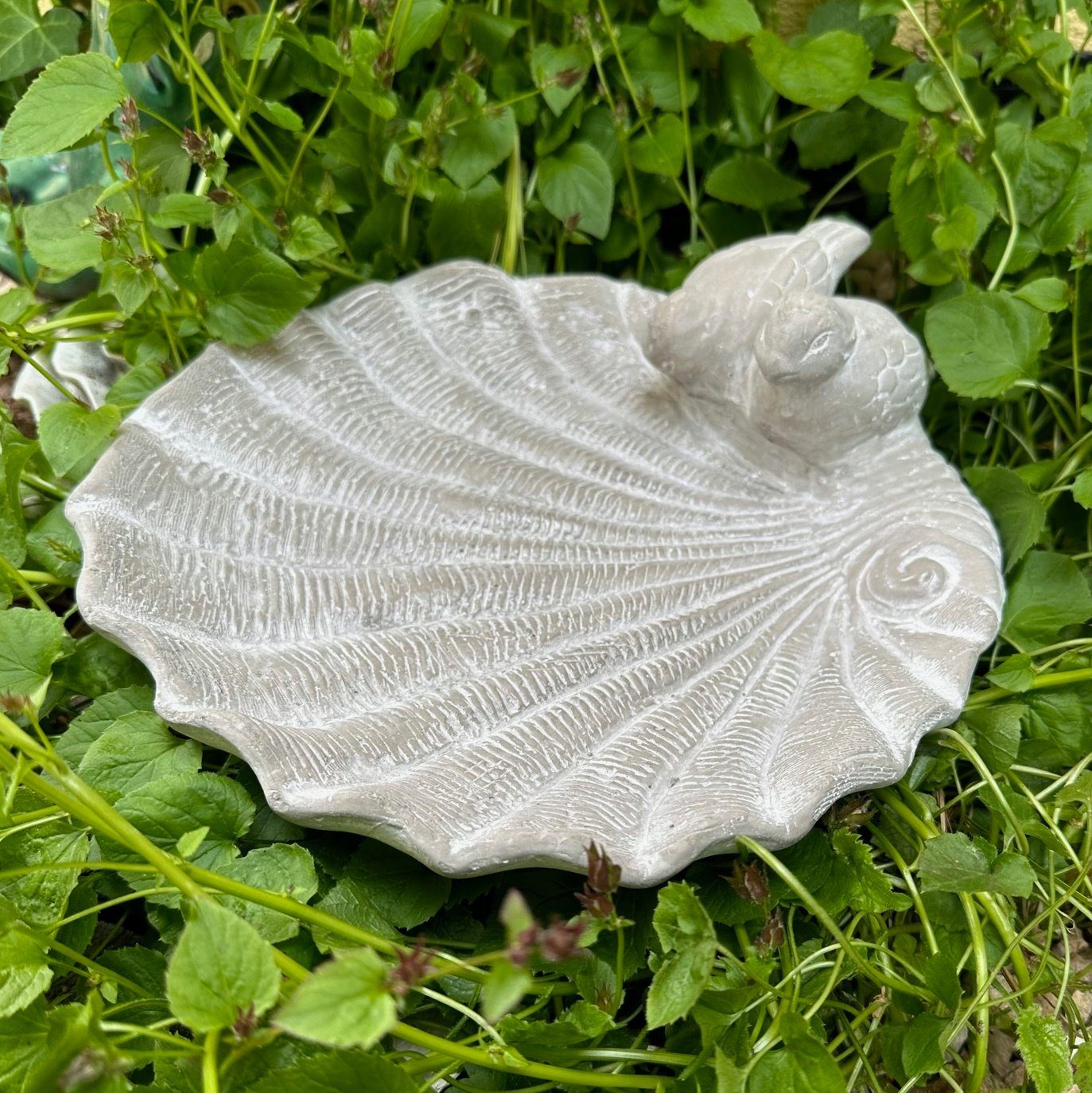 Vogeltränke Vogeltränke Vogelbad Wasserstelle Vogelbecken Vogelfutterstelle Musche