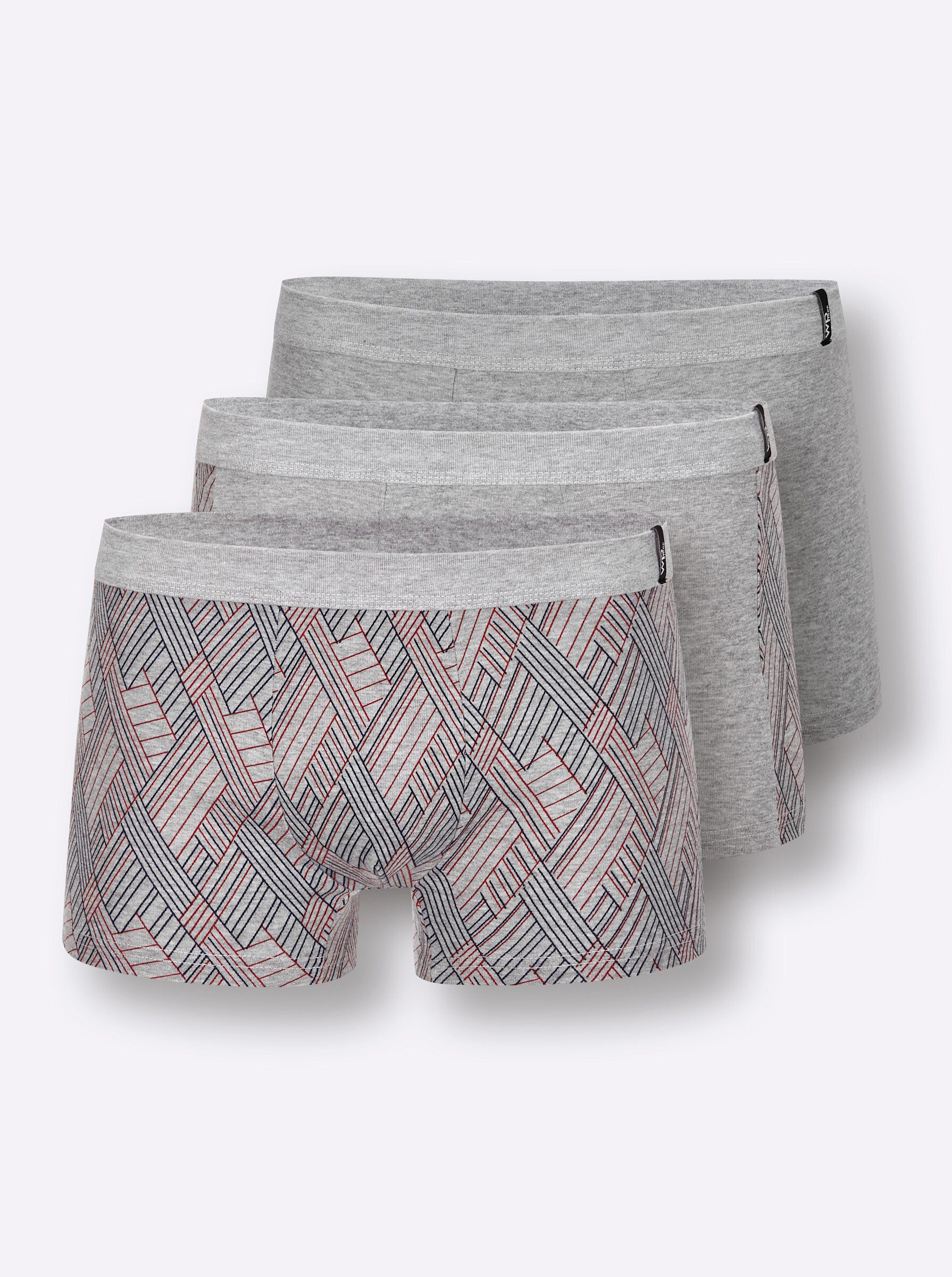 Witt Boxer Pants (3-St)