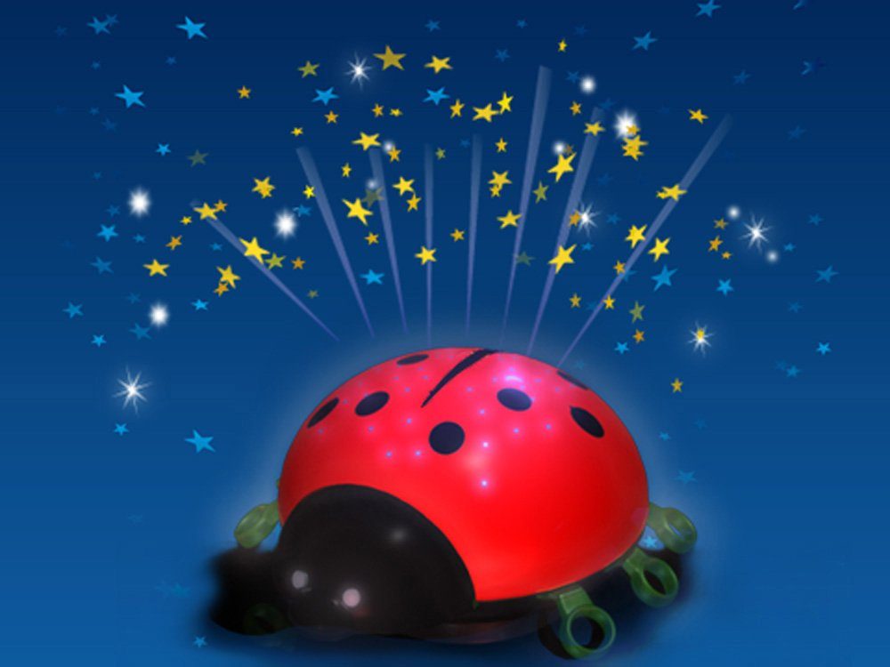 niermann LED Nachtlicht Beetlestar, LED fest integriert, Nachtlicht Beetlestar | Nachtlichter