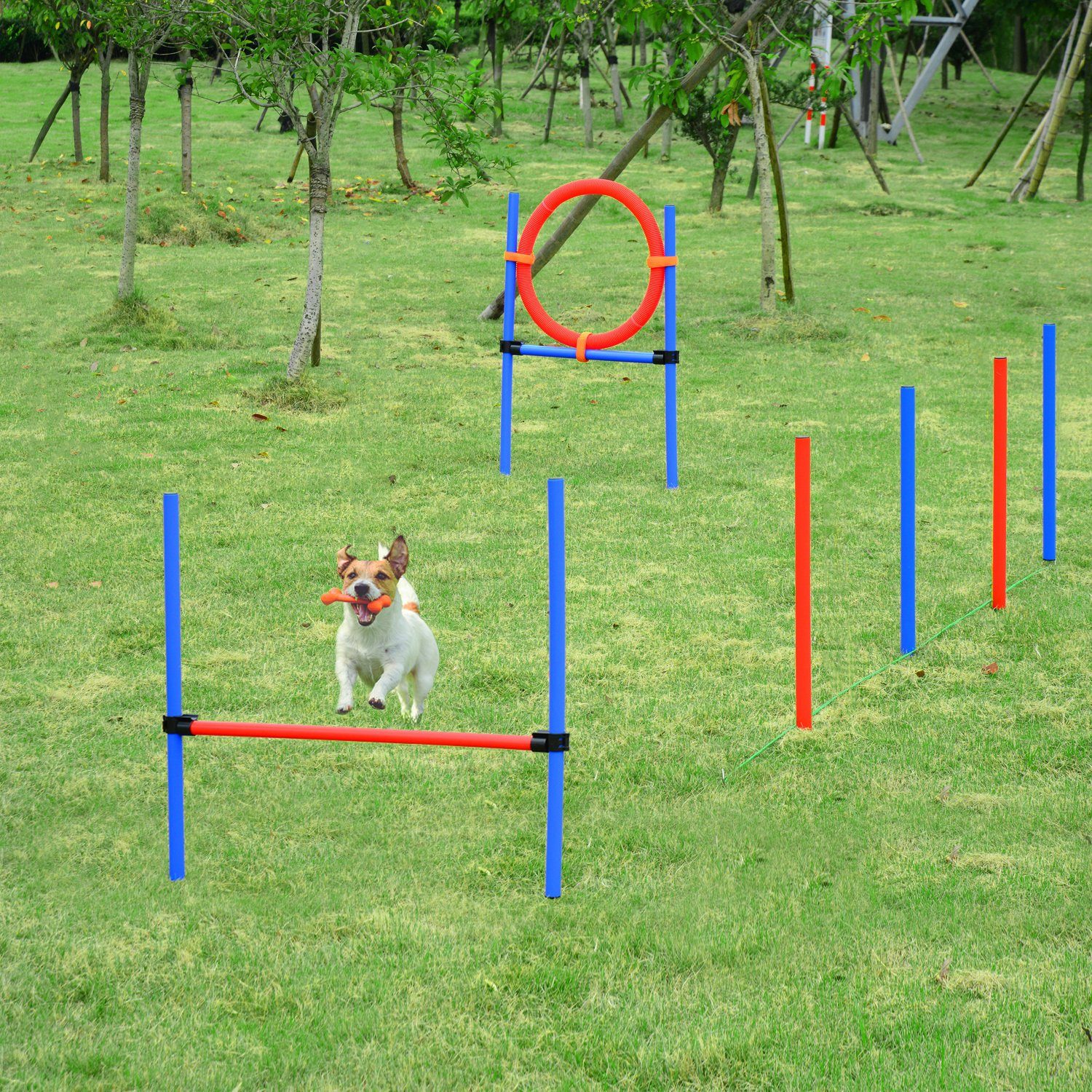 PawHut Agility-Hürde Hundesport, PE, Polyestergewebe