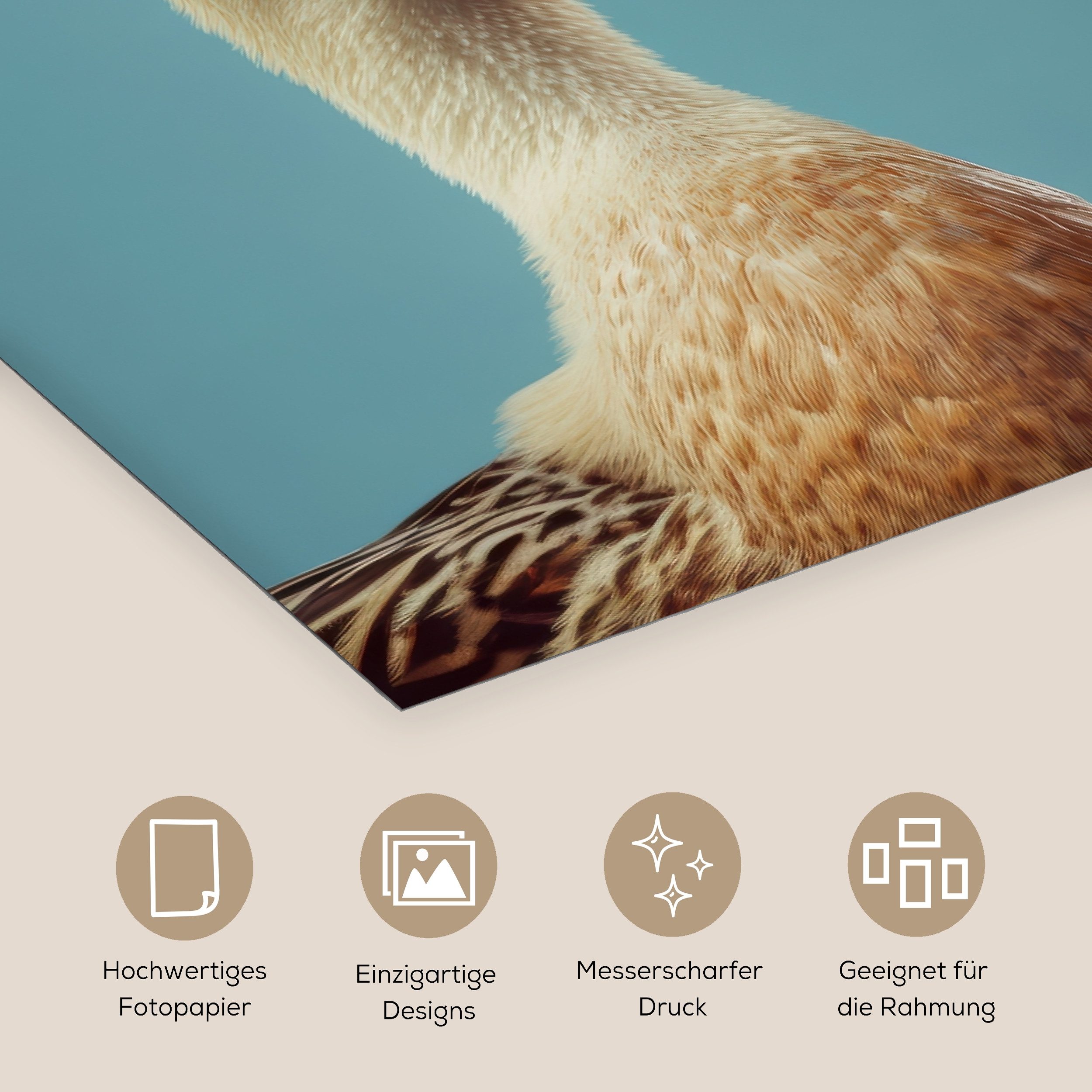 MuchoWow Poster Ente - Kochmütze - Süß - Vogel, (1 St), Poster ohne Rahmen, Wandbild, Wandposter, 40x60 cm