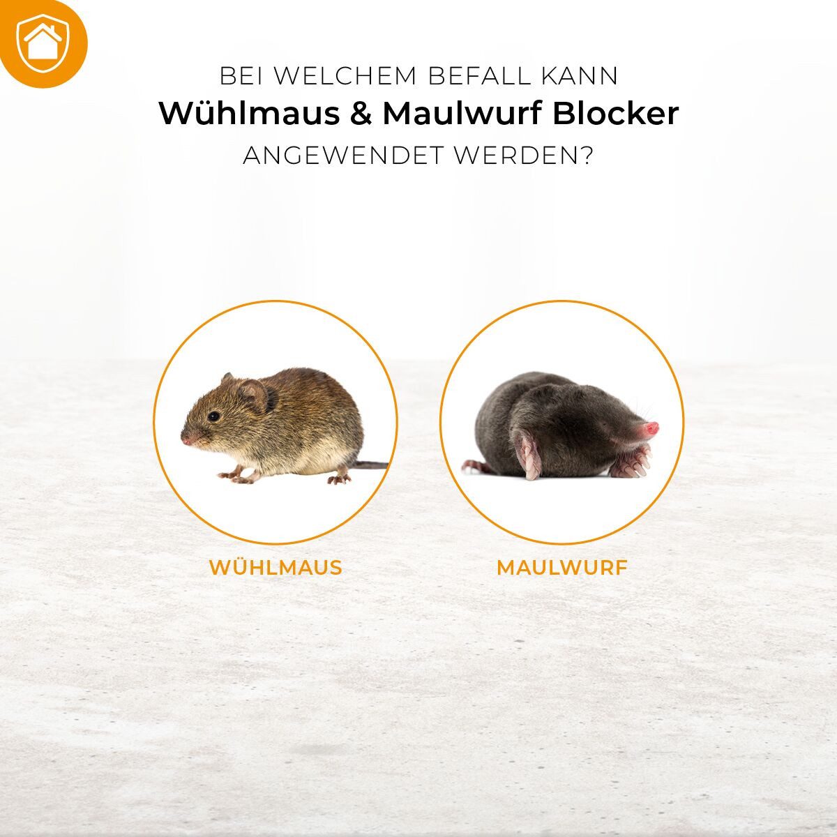 Protect Home Vergrämungsmittel Wühlmaus & Maulwurf Blocker, 100 g, 100 g