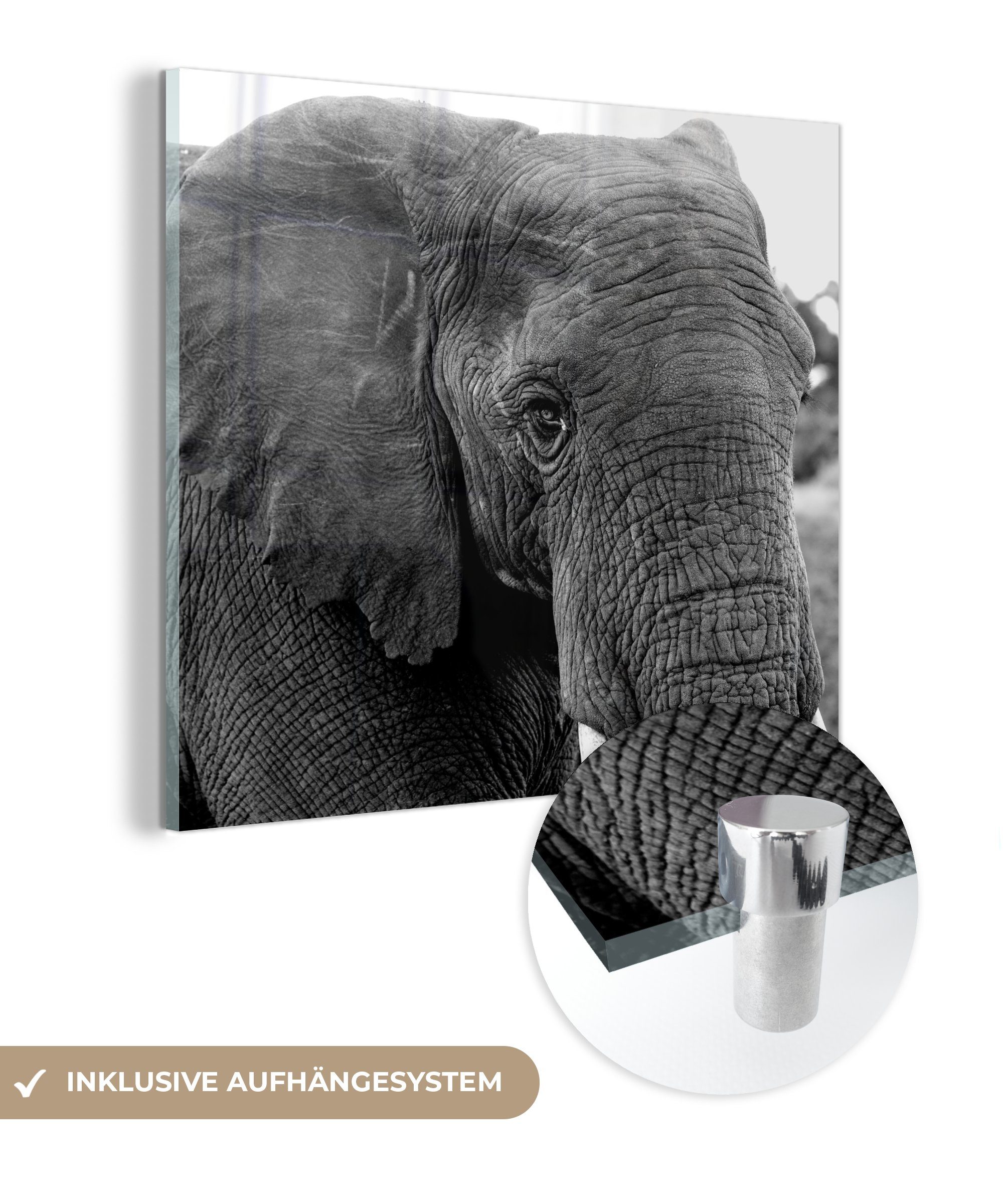 MuchoWow Acrylglasbild Elefant - Tiere - Schwarz - Weiß - Natur, (1 St), Glasbilder - Bilder auf Glas Wandbild - Foto auf Glas - Wanddekoration