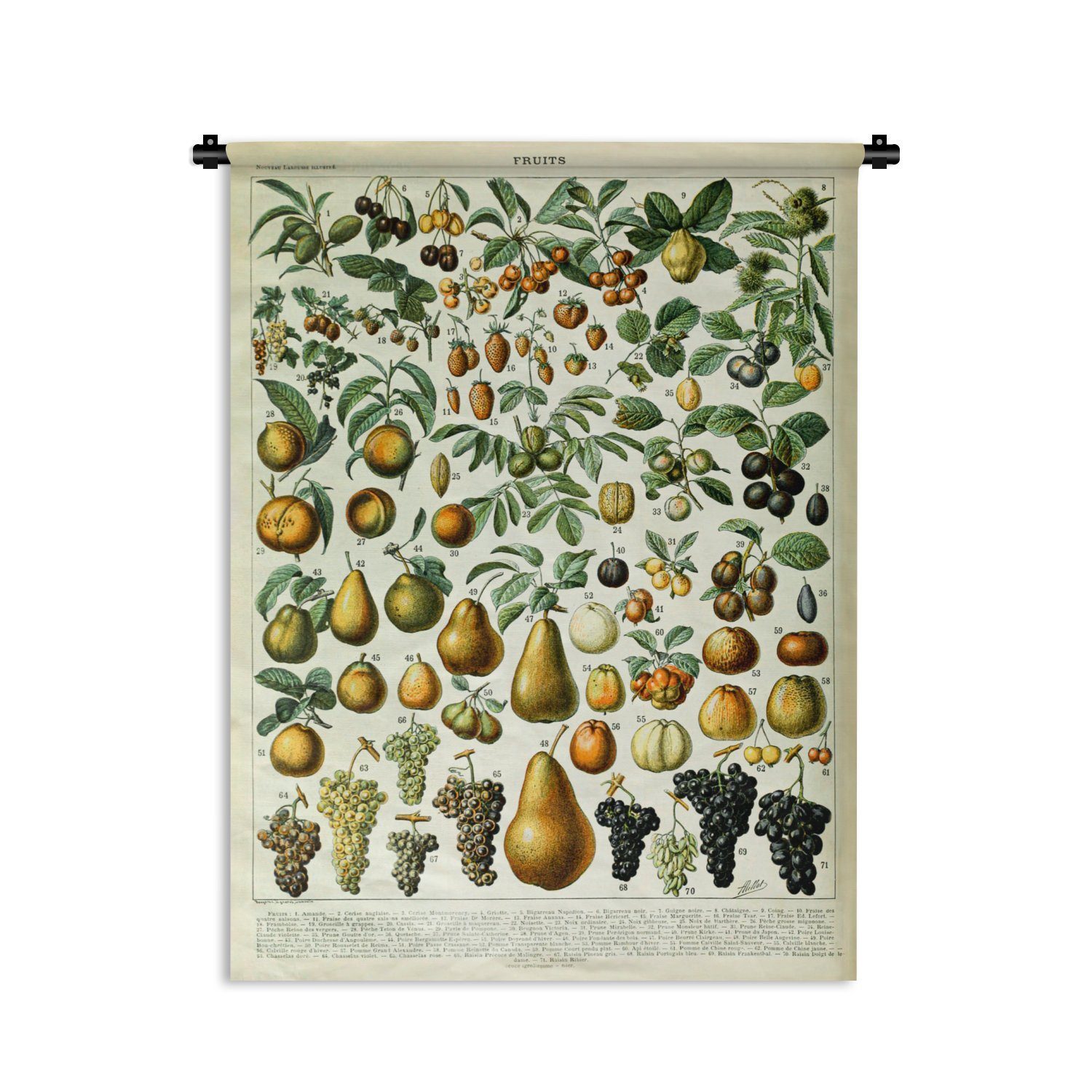 MuchoWow Wanddekoobjekt Adolphe Millot - Jahrgang - Obst - Birne - Trauben, Deko für an der Wand, Wohnzimmer, Tapisserie, Schlafzimmer