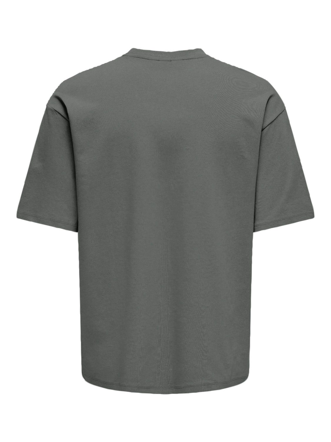 ONLY & SONS Rundhalsshirt ONSCASPIAN AUT günstig online kaufen