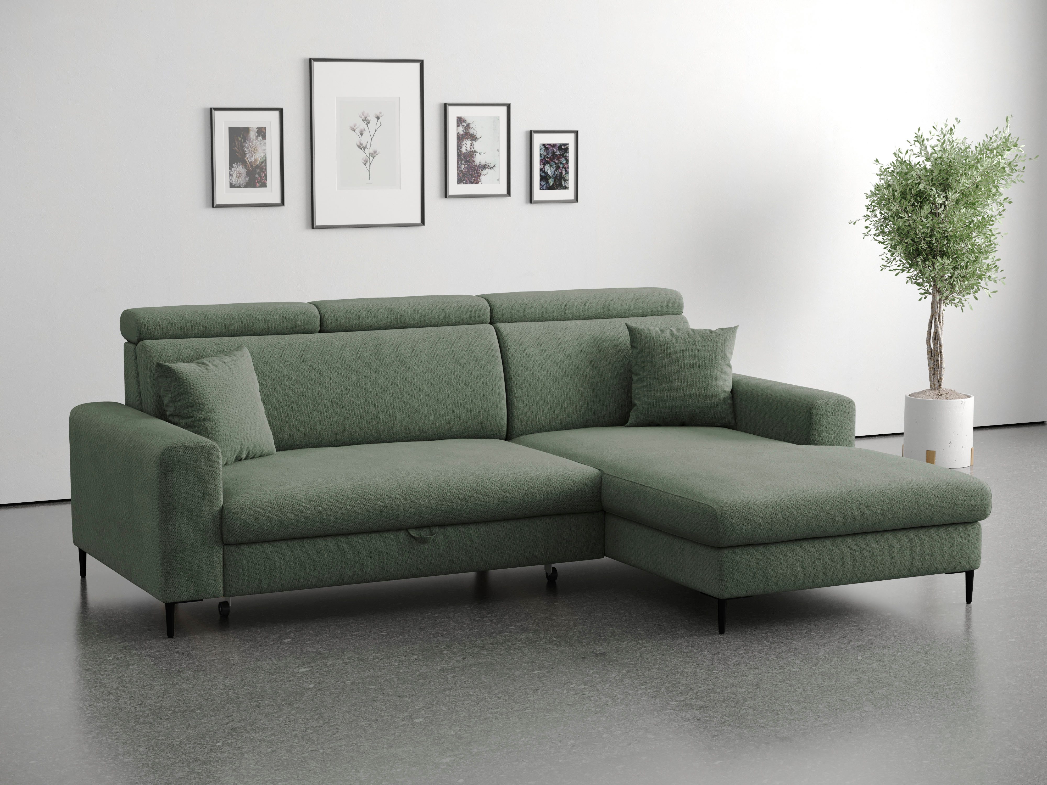 Trends by HG Ecksofa Nizza, L-Form, B: 250cm, mit Schlaffunktion und Bettkasten
