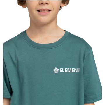 Element T-Shirt BLAZIN CHEST B