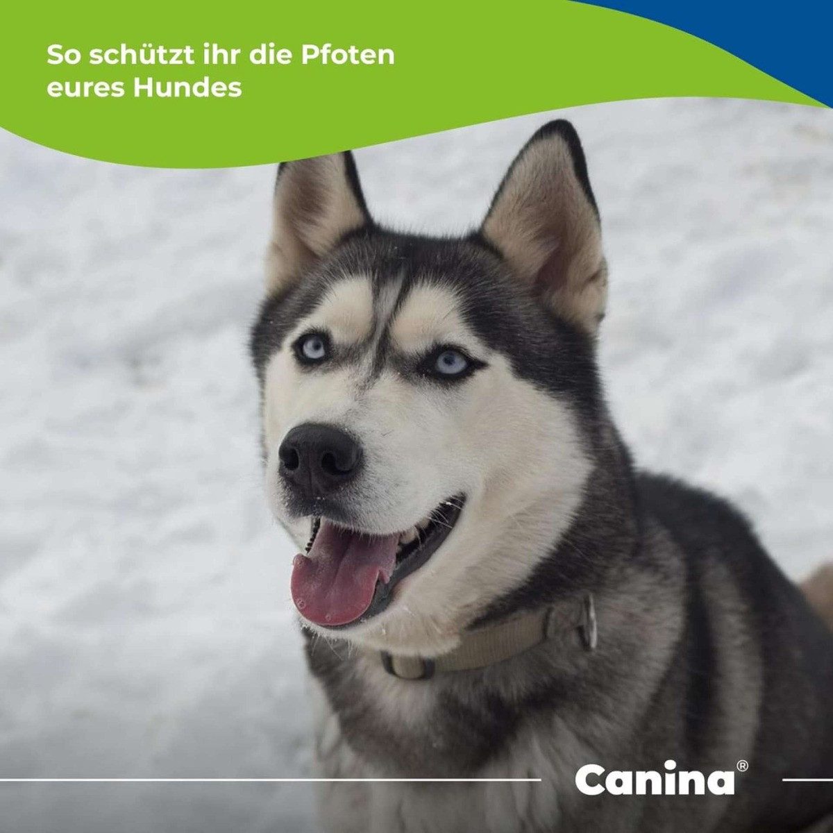 Canina Pfotenschutz Winter Pfotenbalsam 100 ml