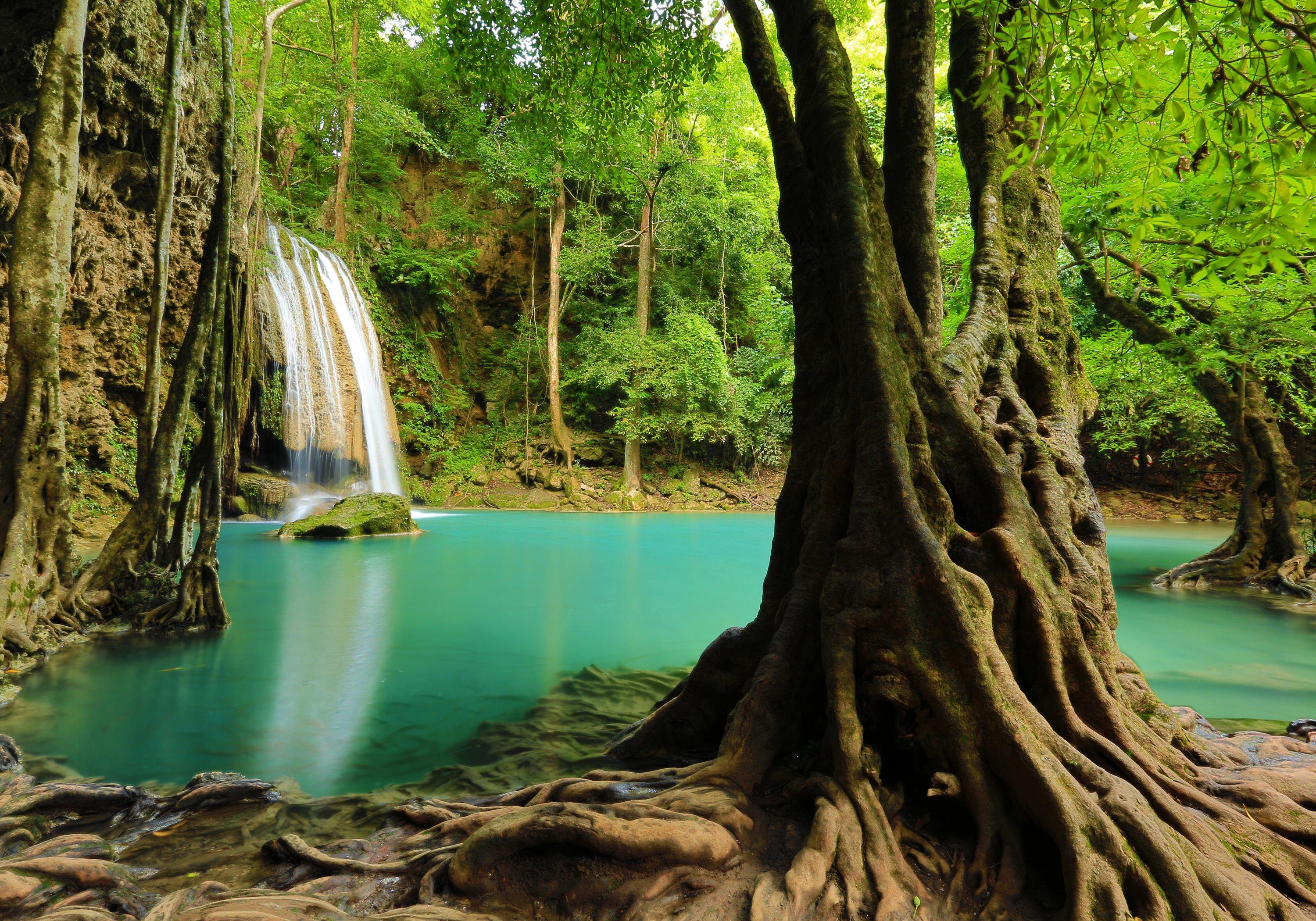 Wandtapete, von wandmotiv24 Wasserfall, Thailand Landschaft glatt, Motivtapete, Vliestapete Fototapete mit matt,