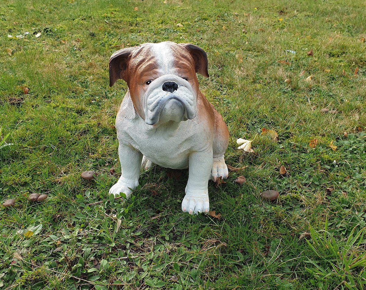 Fachhandel Plus Gartenfigur Englische Bulldogge Deko Figur Gartenfigur lebensecht, (1 St), lebensecht