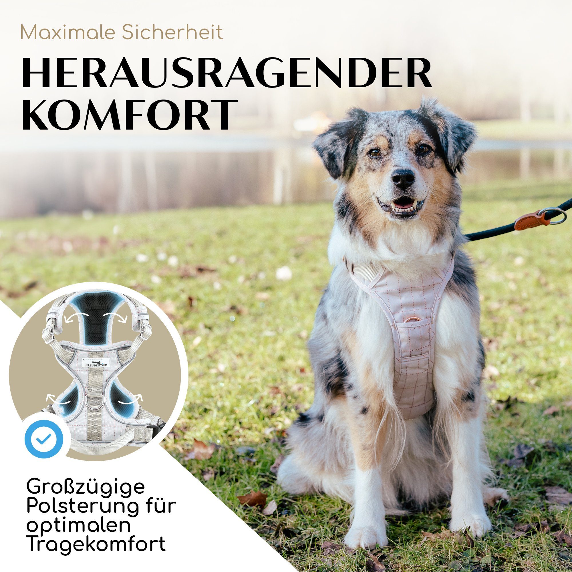 Freudentier Hunde-Geschirr mit Mesh-Polsterung, Hundegeschirr grosse Hunde & mittlere Hunde