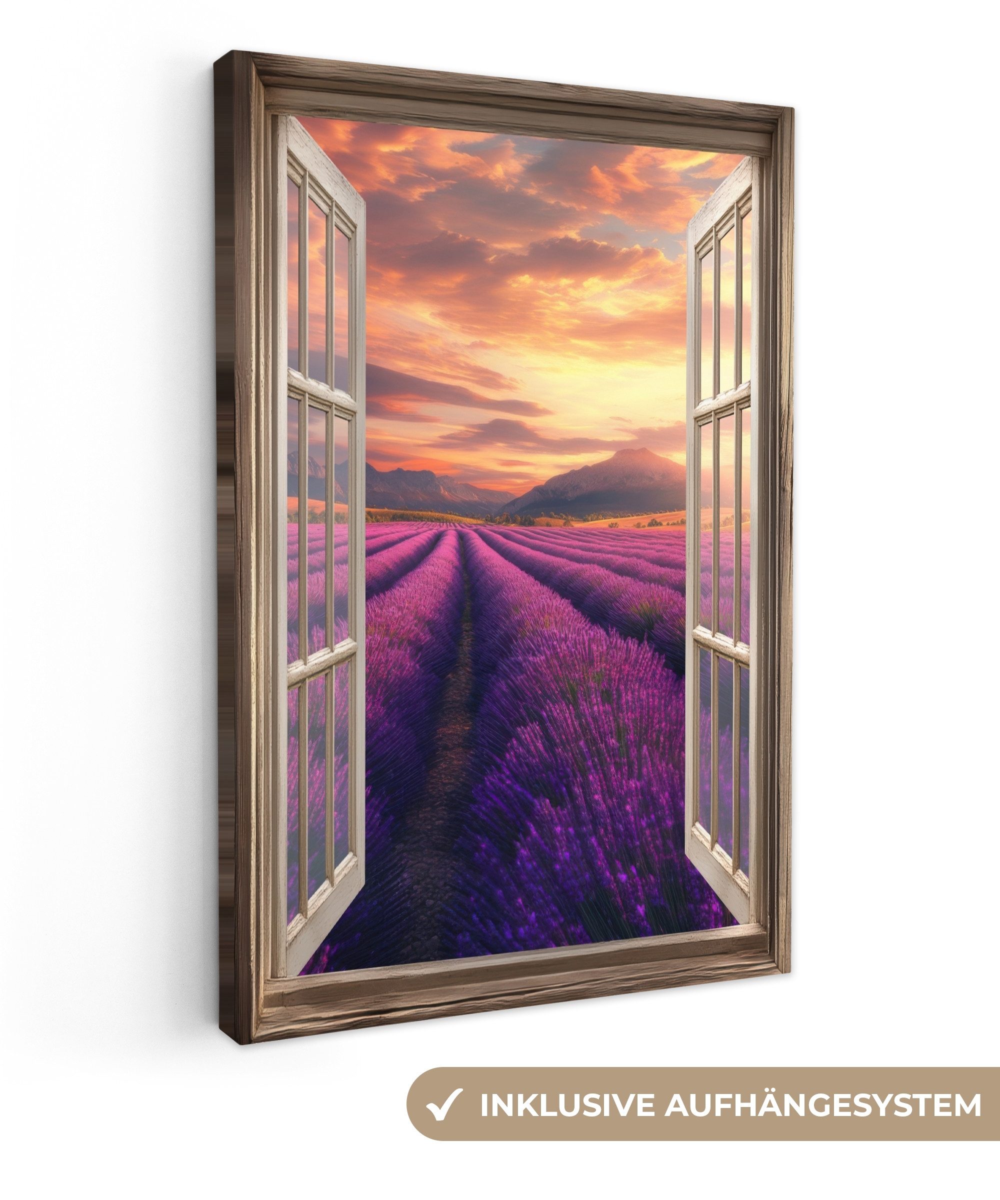 Lavendel - Landschaft - Lila