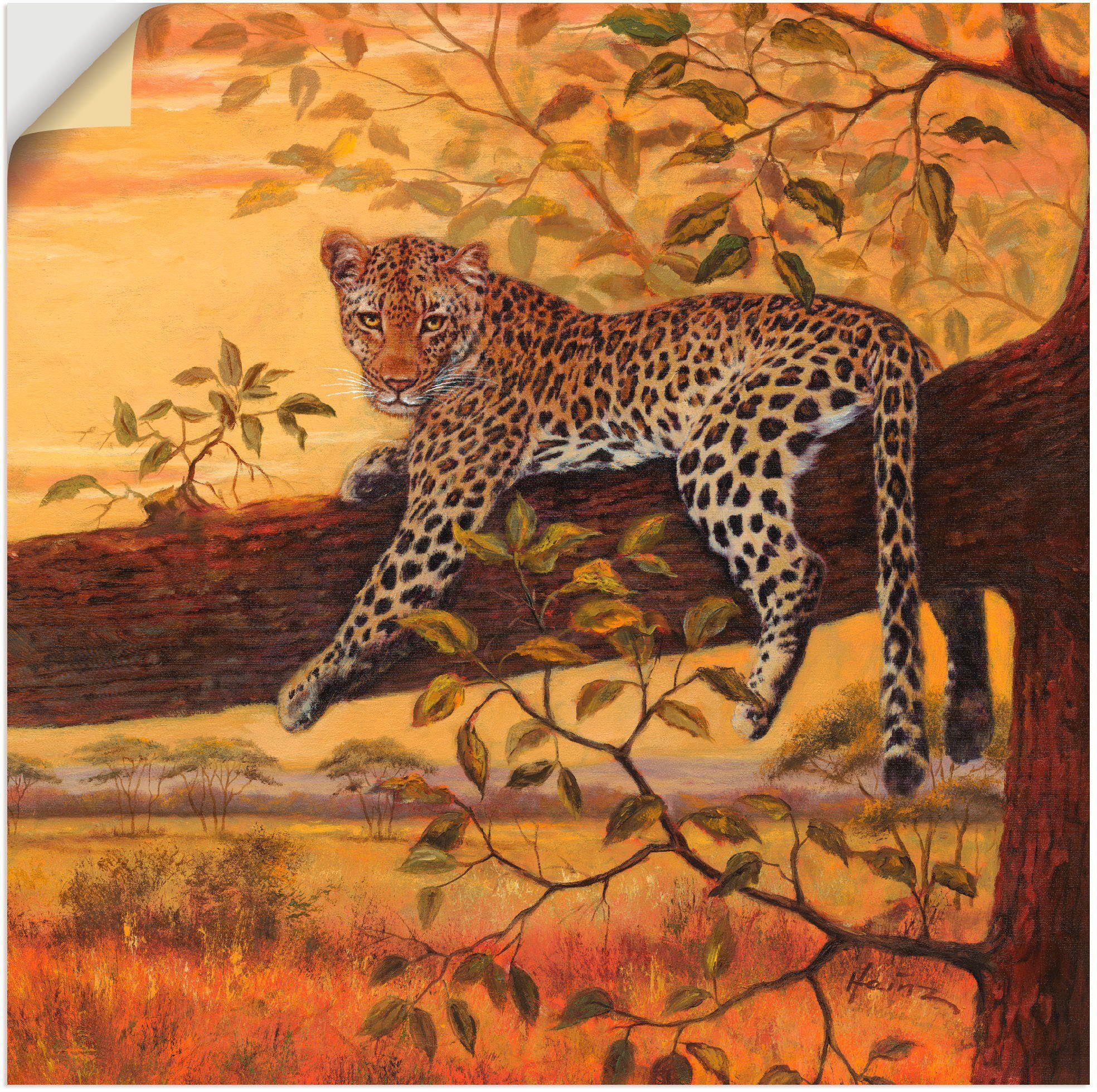 Artland Wandbild oder Wandaufkleber in St), Wildtiere Poster Alubild, Leopard, versch. Leinwandbild, Größen als (1 Ruhender