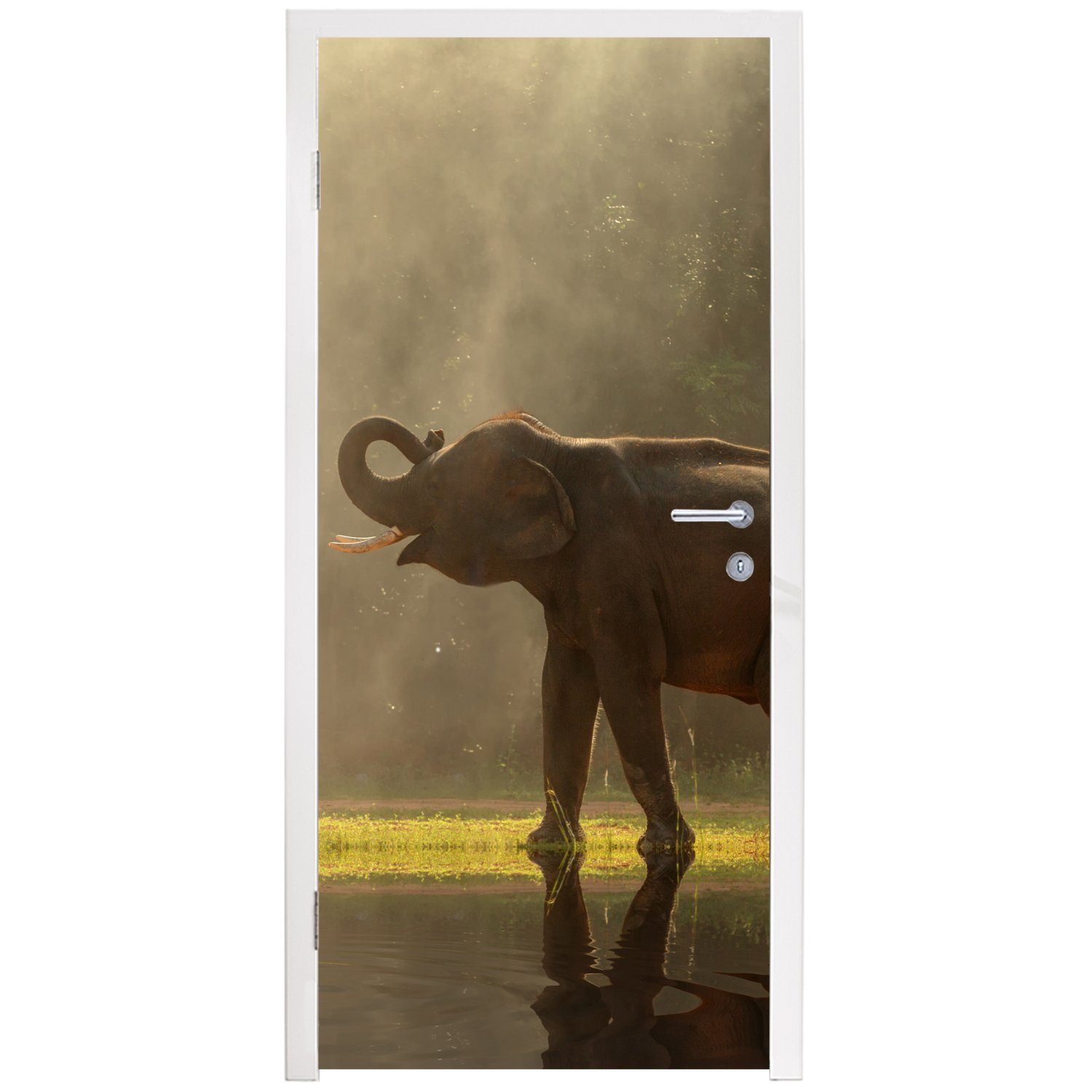 MuchoWow Türtapete - bedruckt, Tür, cm Wasser St), Natur, für - (1 - Tiere Fototapete Matt, 75x205 Elefant Türaufkleber