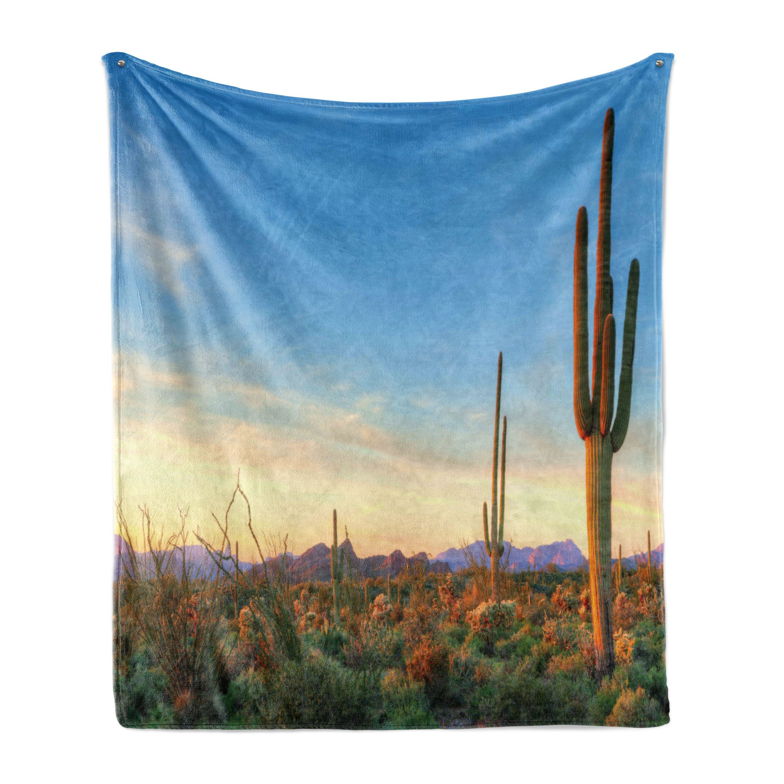 Wohndecke Gemütlicher Plüsch für den Innen- und Außenbereich, Abakuhaus, Wüste Sonoran Desert Sunset