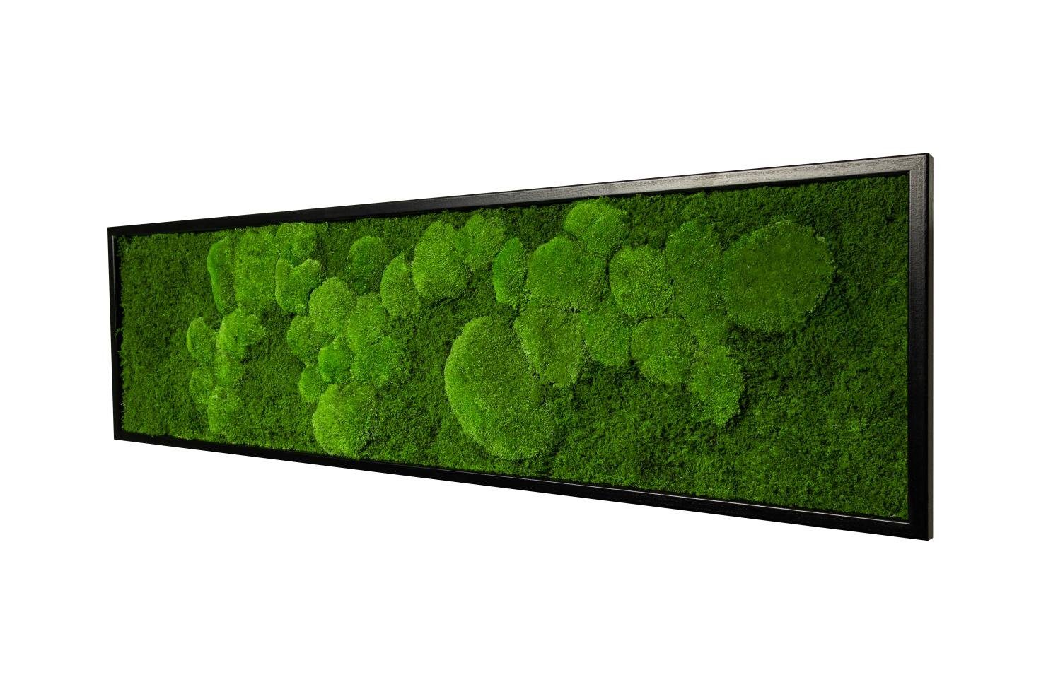 Moos-Design Bild Moosbild Fifty Fifty Design günstig online kaufen