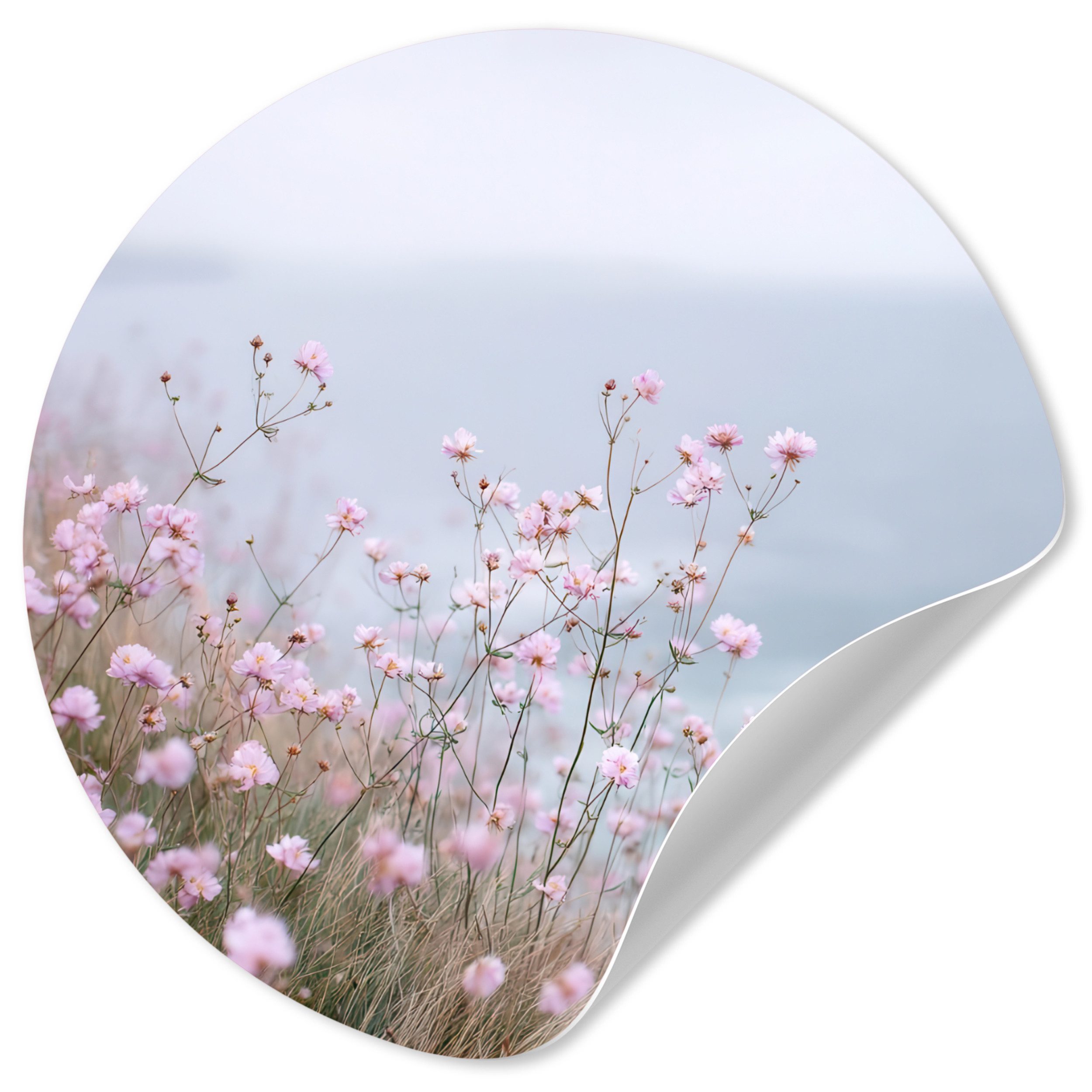 MuchoWow Wandsticker Klippe - Blumen - Meer - Rosa (1 St), Tapetensticker Selbstklebend, Wandbild Wohnzimmer, 80x80 cm