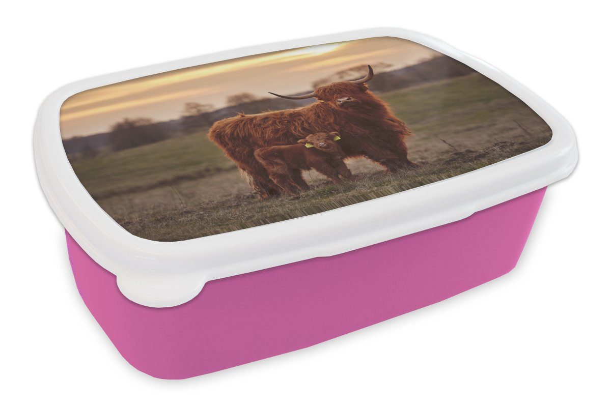 Brotbox rosa Lunchbox für Tiere - - Mädchen, Kuh, MuchoWow Kunststoff Landschaft Kunststoff, Kinder, Erwachsene, - Brotdose (2-tlg), Highlander Snackbox, Sonnenuntergang - Schottische