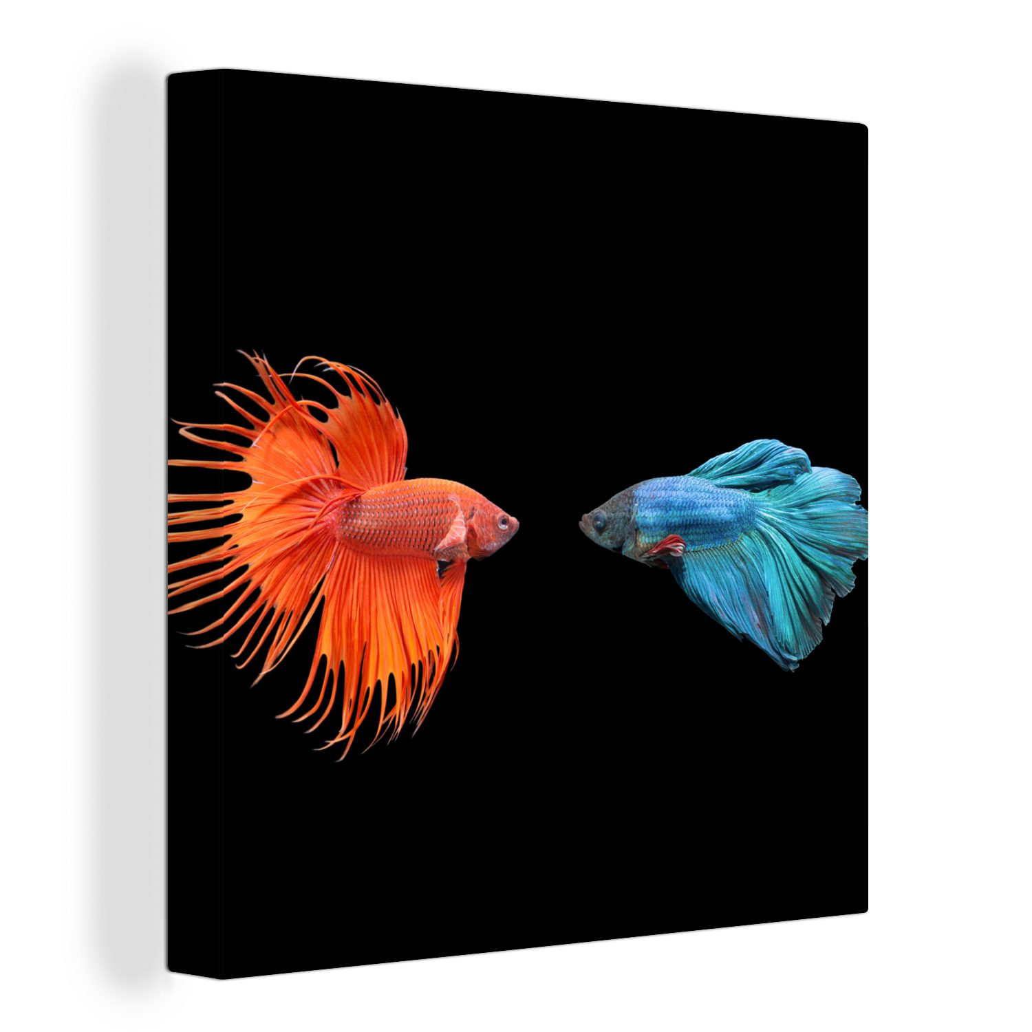 OneMillionCanvasses® Leinwandbild Fische - Wilde Tiere - Schwarz, (1 St), Leinwand Bilder für Wohnzimmer Schlafzimmer bunt