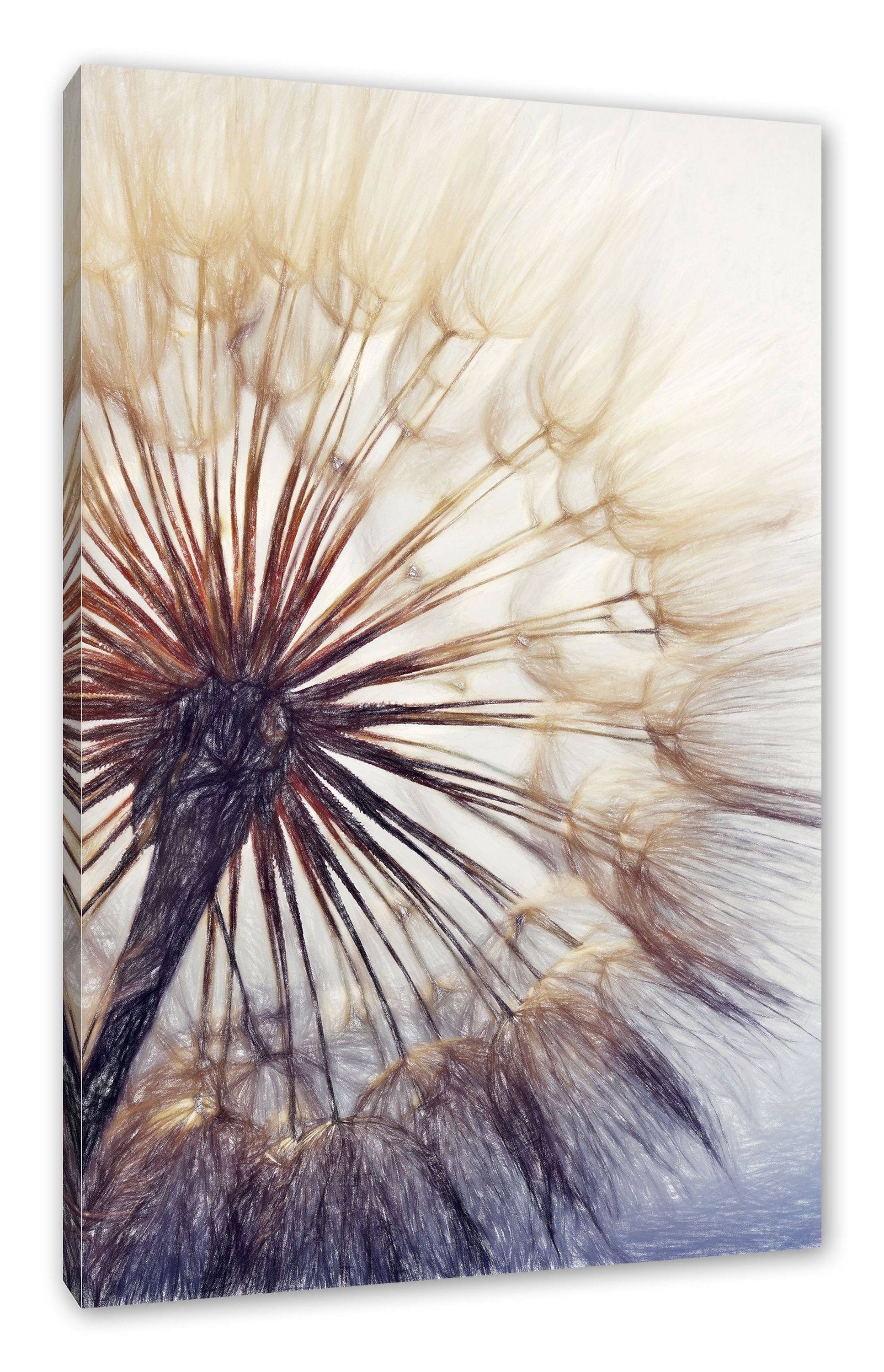 Pixxprint Leinwandbild Schöne Pusteblume, Schöne Leinwandbild bespannt, fertig (1 St), Zackenaufhänger inkl. Pusteblume