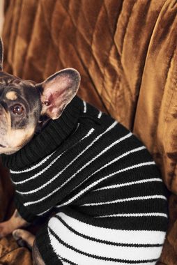 Next Hundepullover Pullover in Streifen mit Hundemotiv