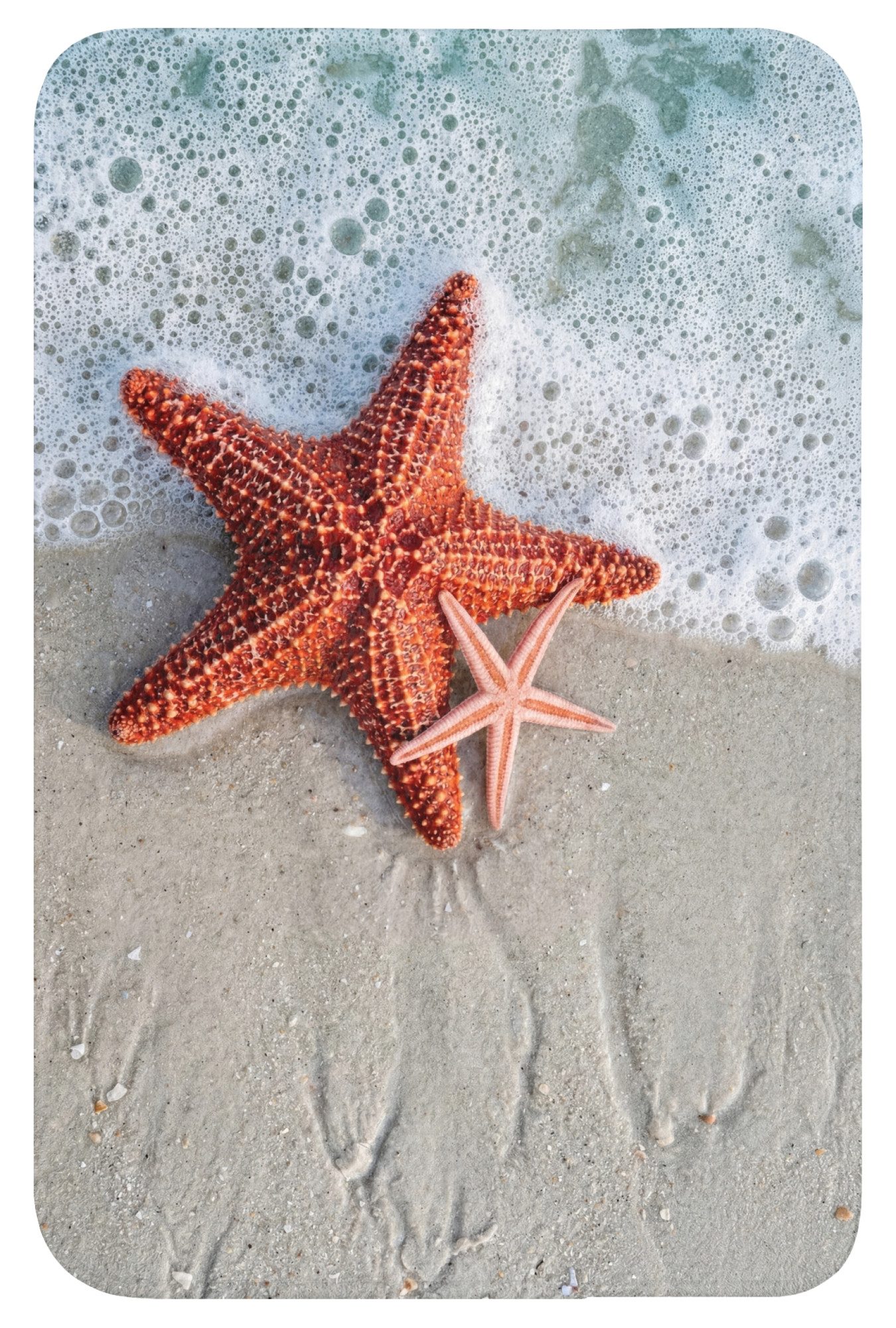 OnlyWow WC-Vorleger Seestern - Strand - Meer, Höhe 10 mm, Polyester, Rechteckig, WC Teppich, Toilettenvorleger, Toilettenteppich, Badematte 40x60 cm
