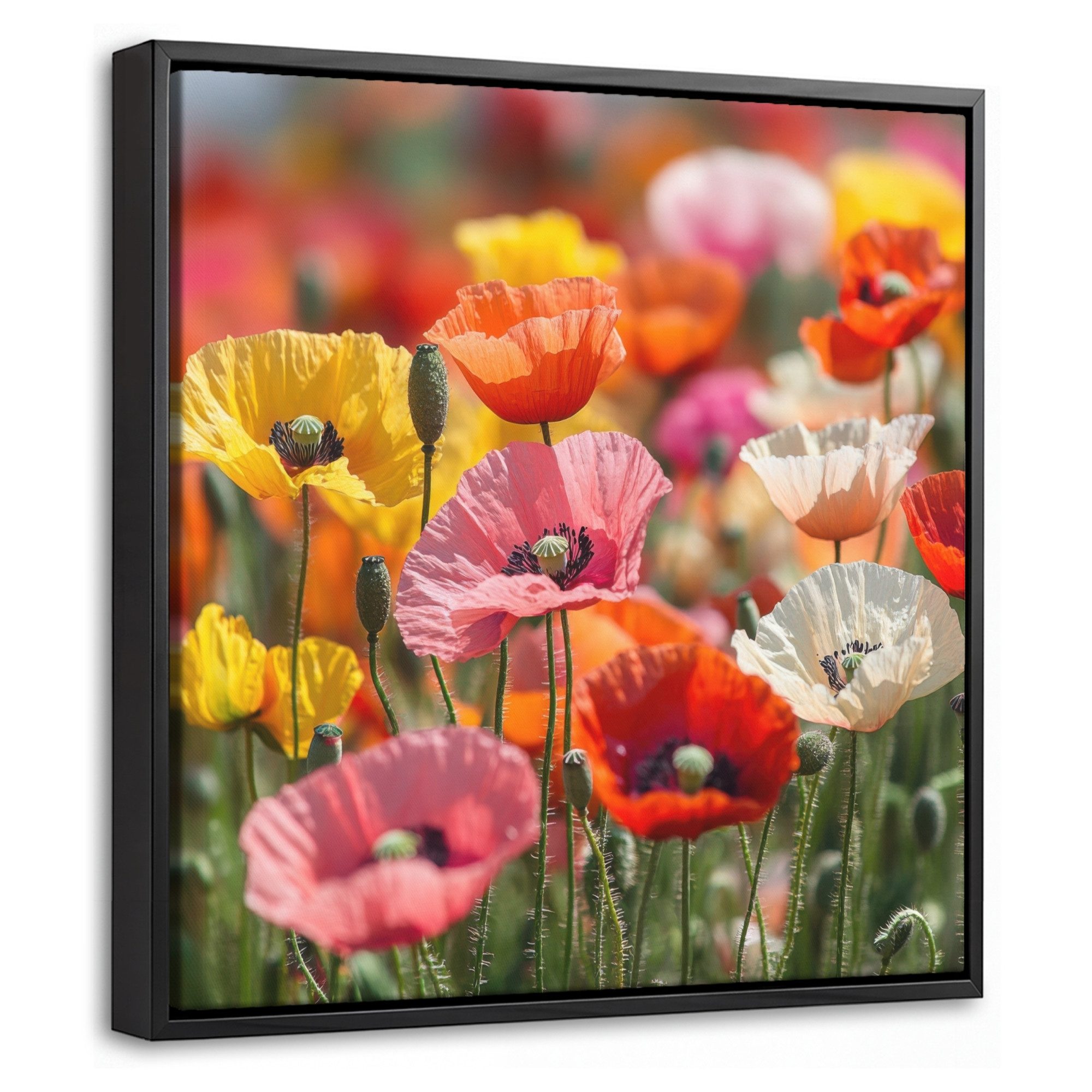 OneMillionCanvasses® Leinwandbild mit Rahmen - Blumenfeld - Mohnblumen - Farbenfroh, Fotodruck (1 St), Leinwand Bilder Klein, Wand Dekoration Aesthetic 20x20cm