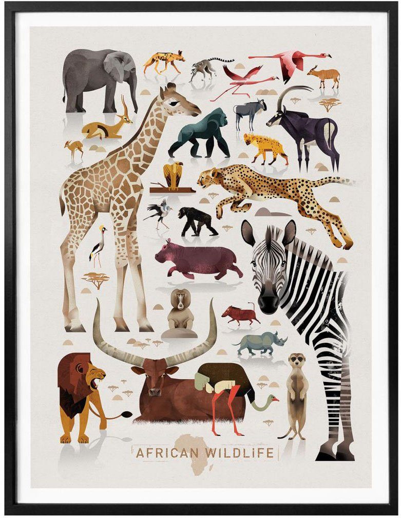 Wall-Art Poster Africa Afrika Tiere Löwe, (1 Bilderrahmen Zebra Poster Safari Elefant ohne St)