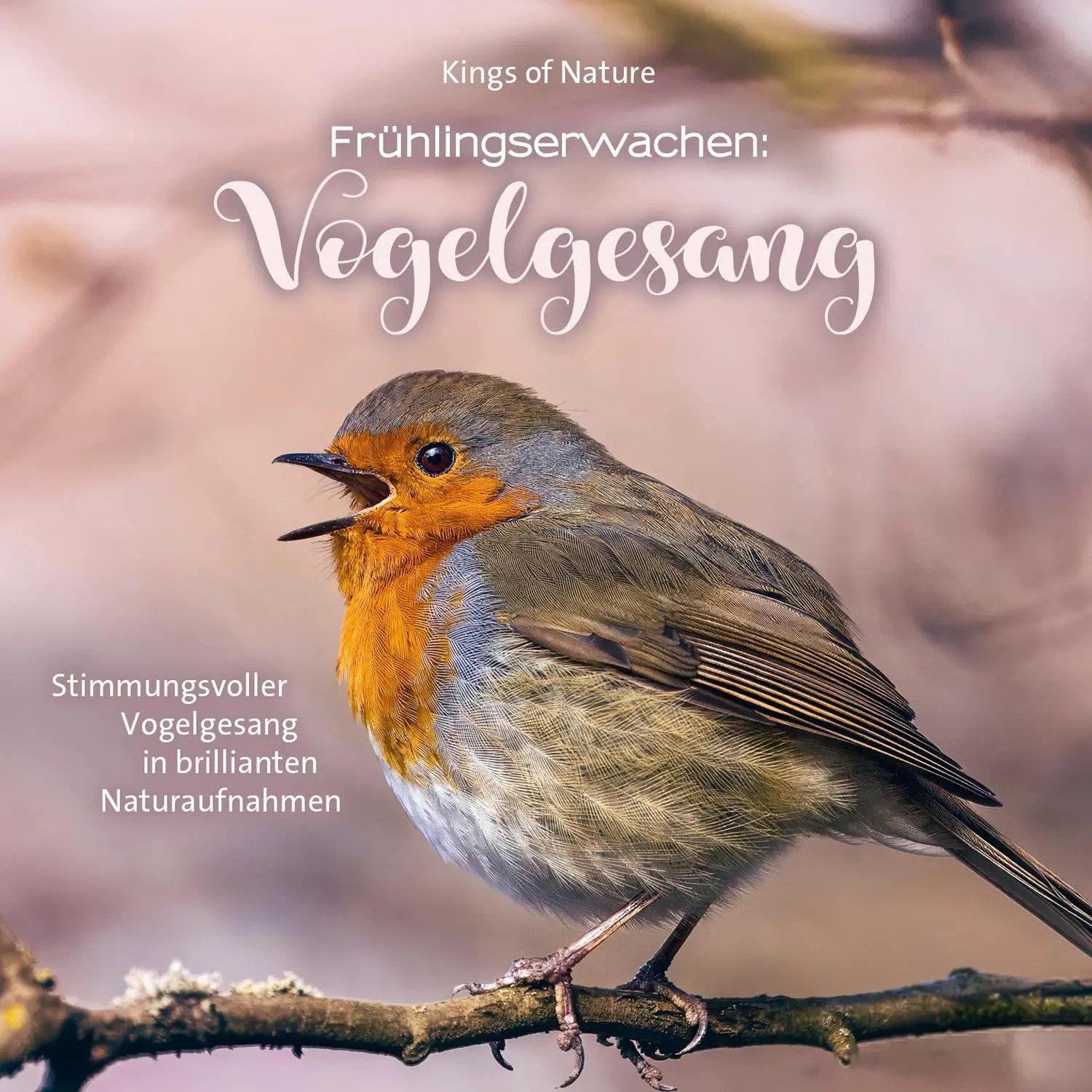 Neptun Hörspiel Frühlingserwachen: Vogelgesang