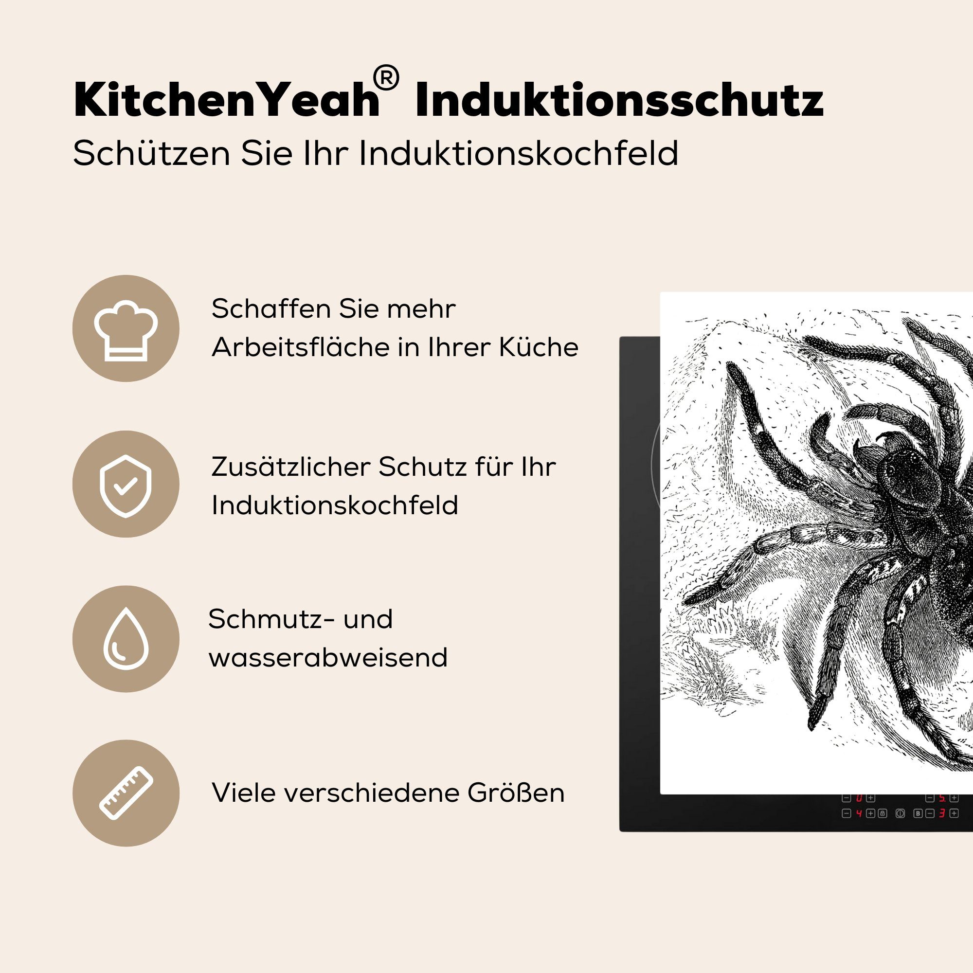 Vinyl, Arbeitsplatte Vogelspinne - MuchoWow cm, für Spinnen Ceranfeldabdeckung, Tiere, - tlg), küche (1 Herdblende-/Abdeckplatte 78x78